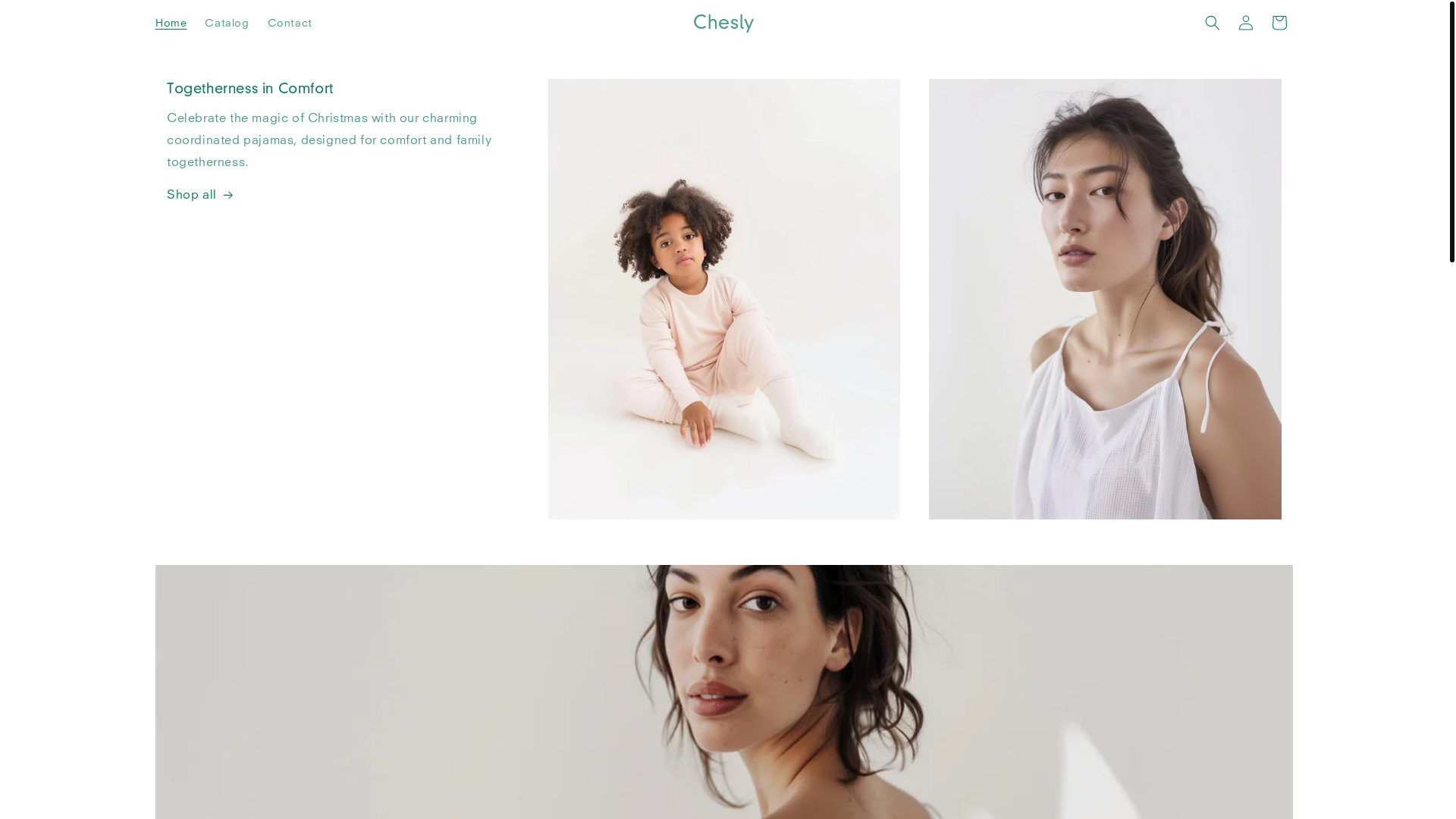 website screenshot of https://chesly.top/