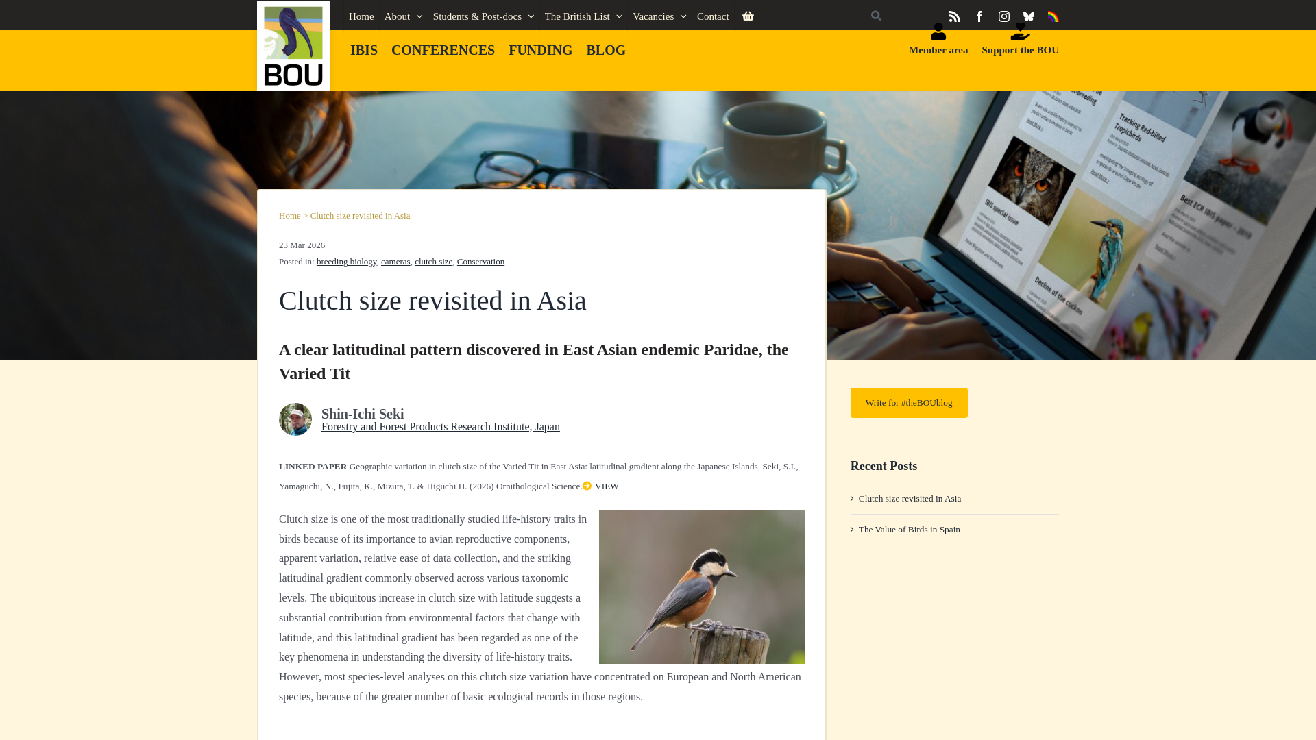 website screenshot of https://bou.org.uk/blog-seki-clutch-size-revisited-in-asia/
