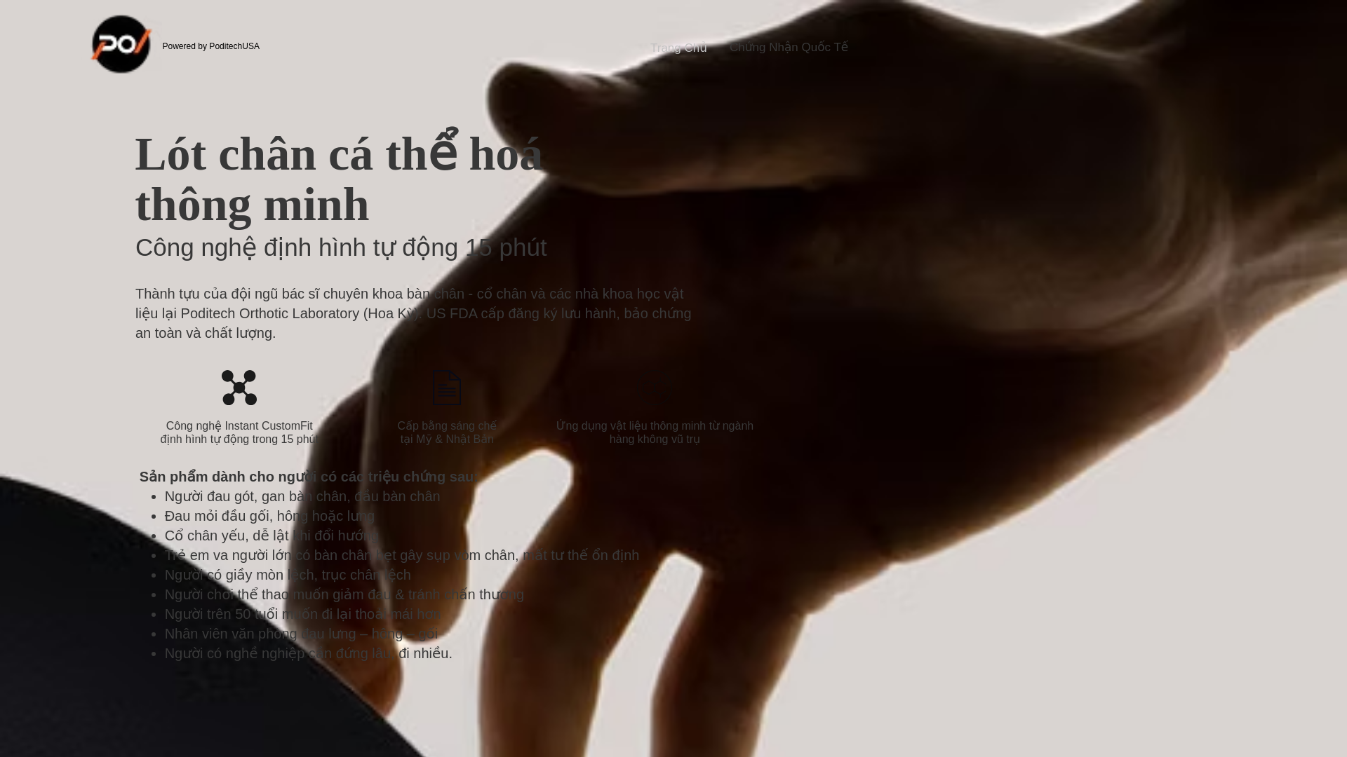 website screenshot of https://polvietnam.vn