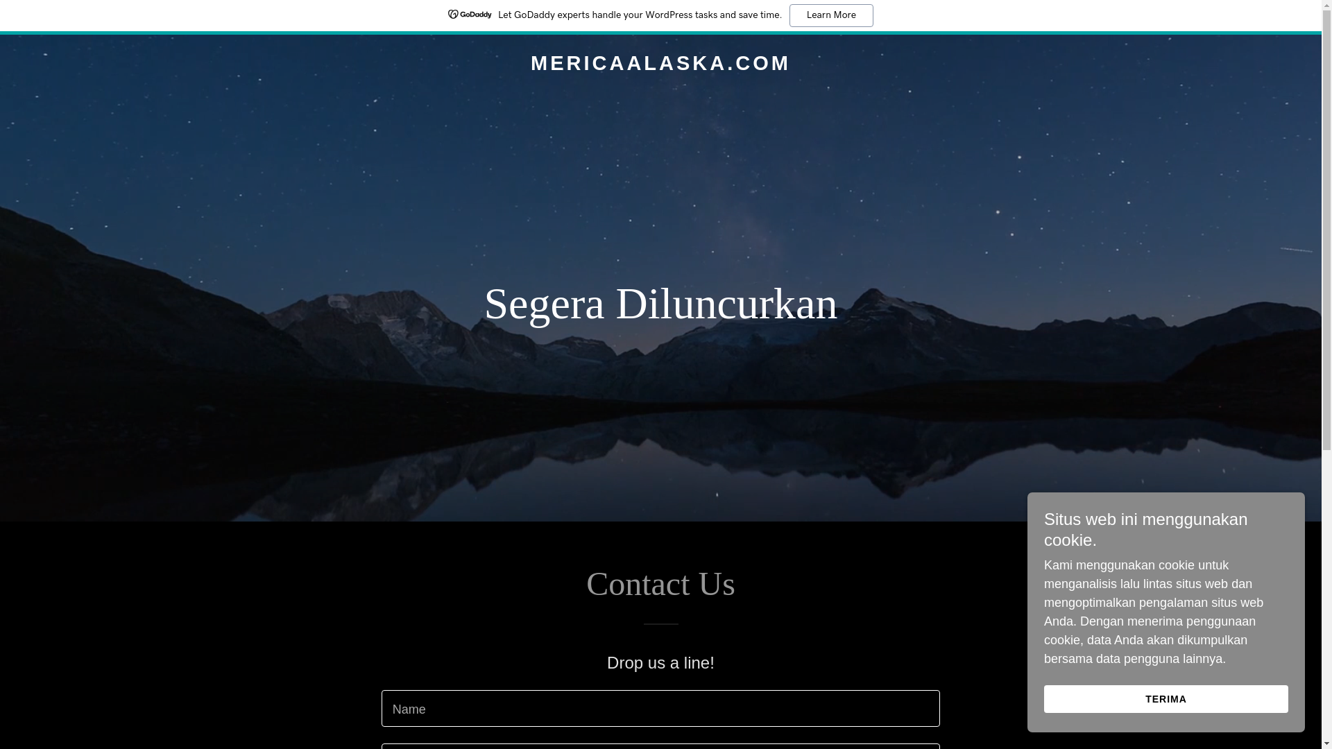 website screenshot of https://mericaalaska.com/
