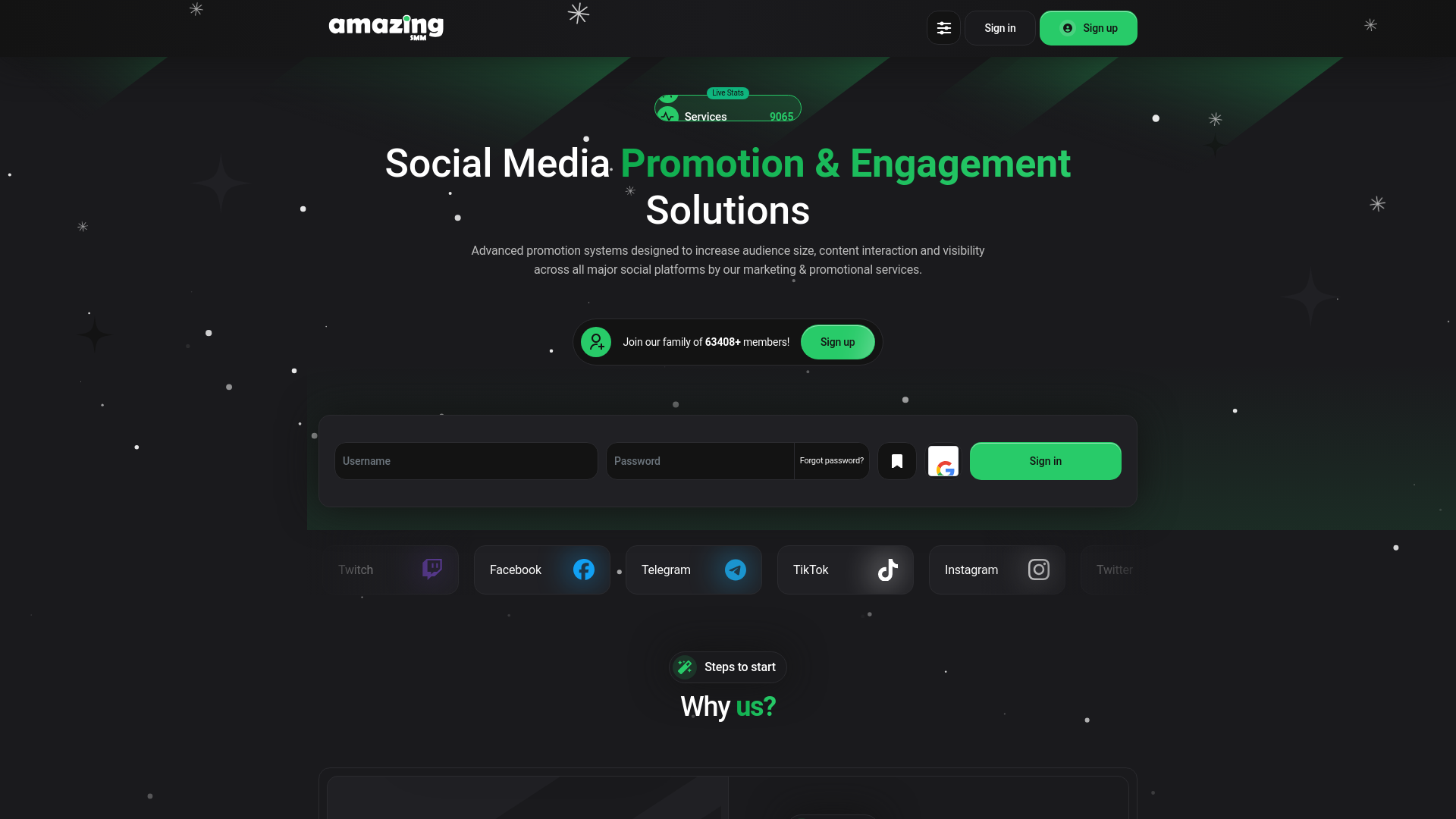 website screenshot of https://amazingsmm.store/