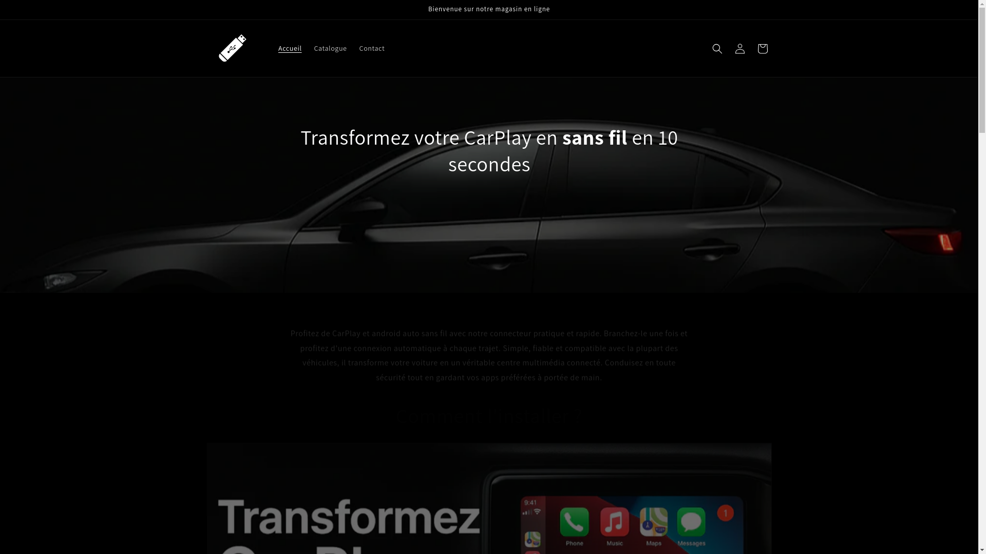 website screenshot of https://plugandcarplay.com/