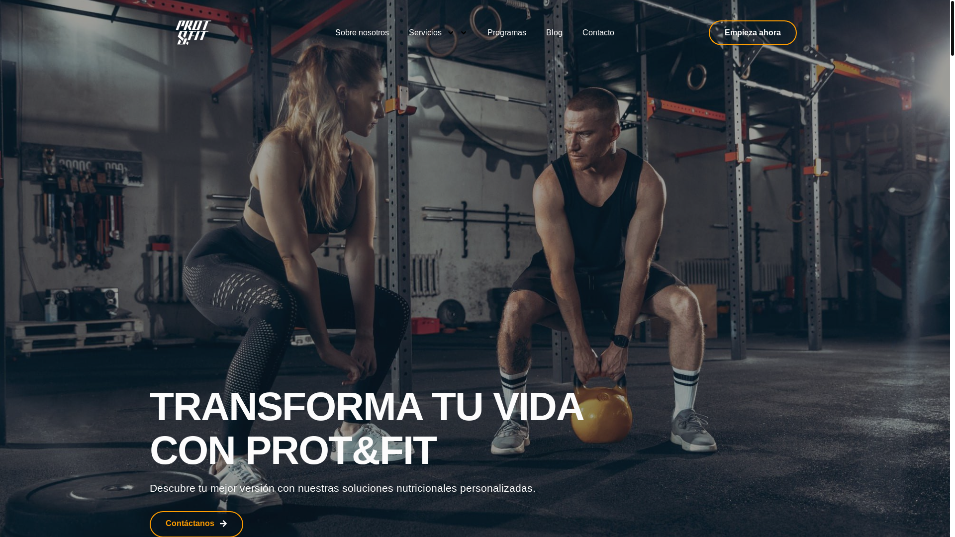 website screenshot of https://prota-ndfit.space/