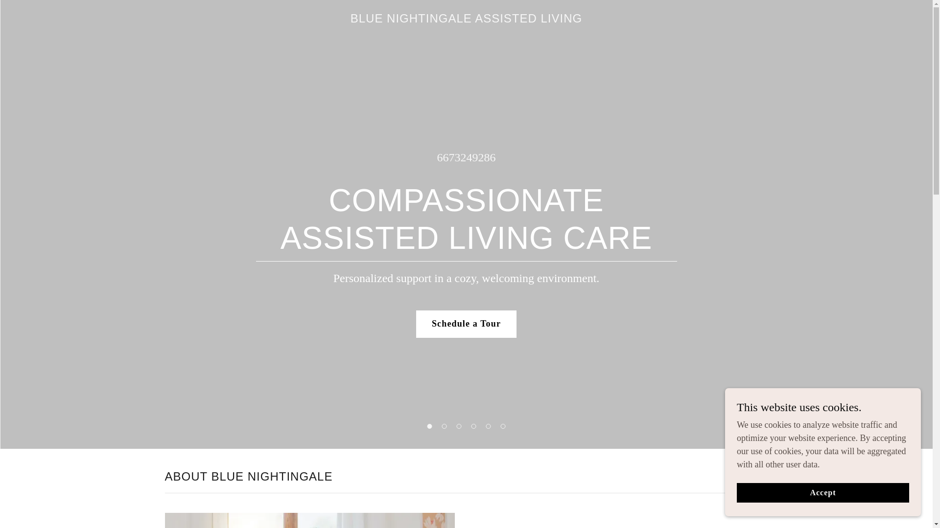 website screenshot of https://bluenightingaleassistedliving.com/