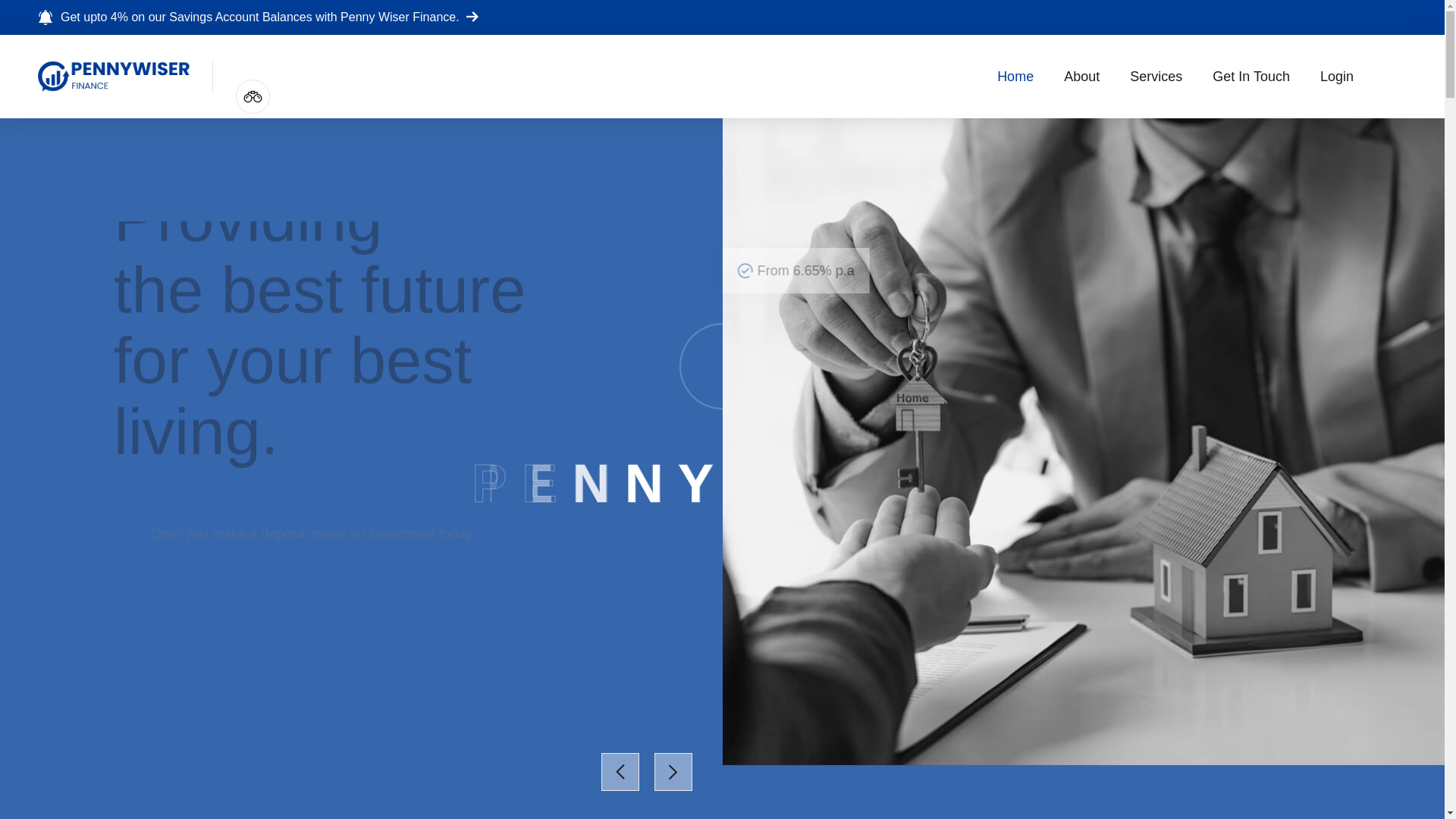 website screenshot of https://pennywiserfinance.com/