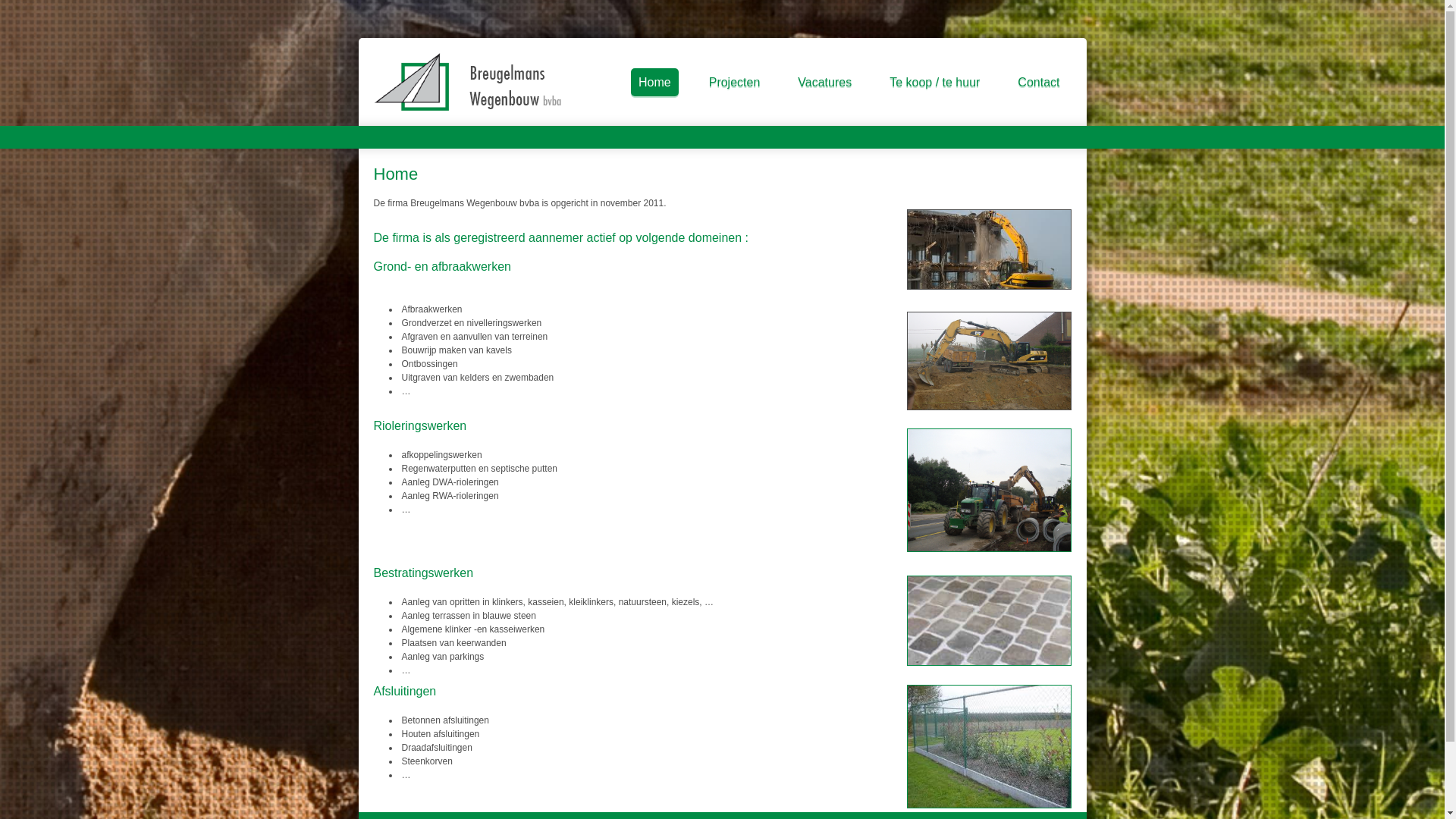 website screenshot of https://breugelmanswegenbouw.be/