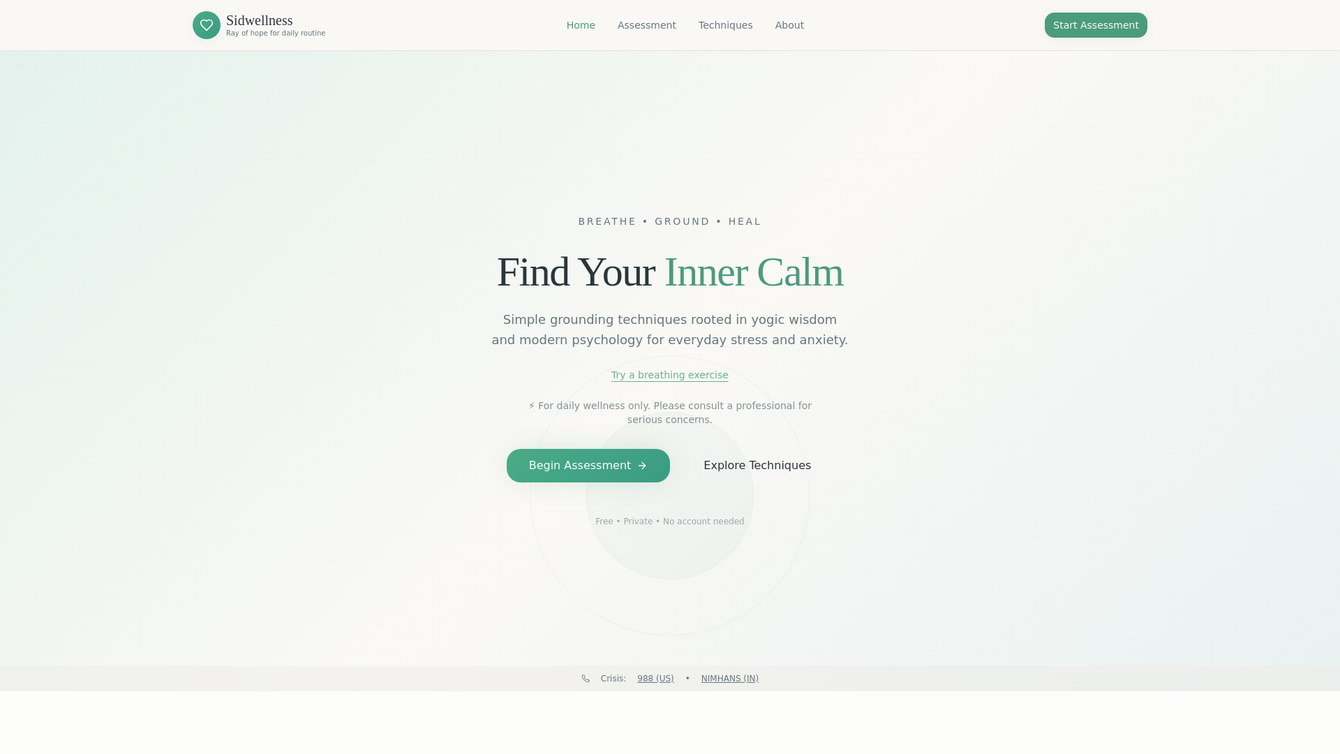 website screenshot of https://rayofsidwellness.com
