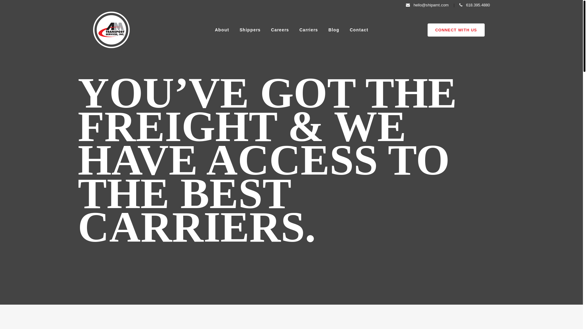 website screenshot of https://nowshipamt.com/