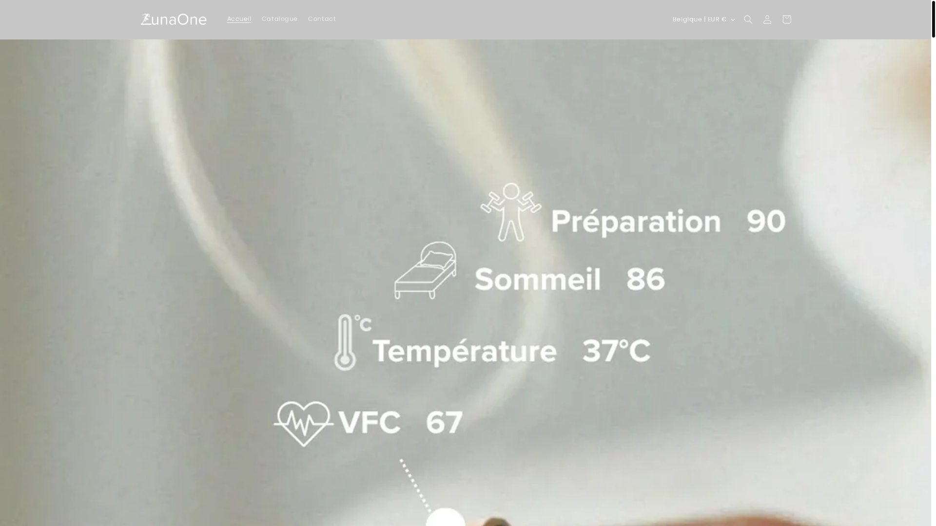 website screenshot of https://lunaone.nl/