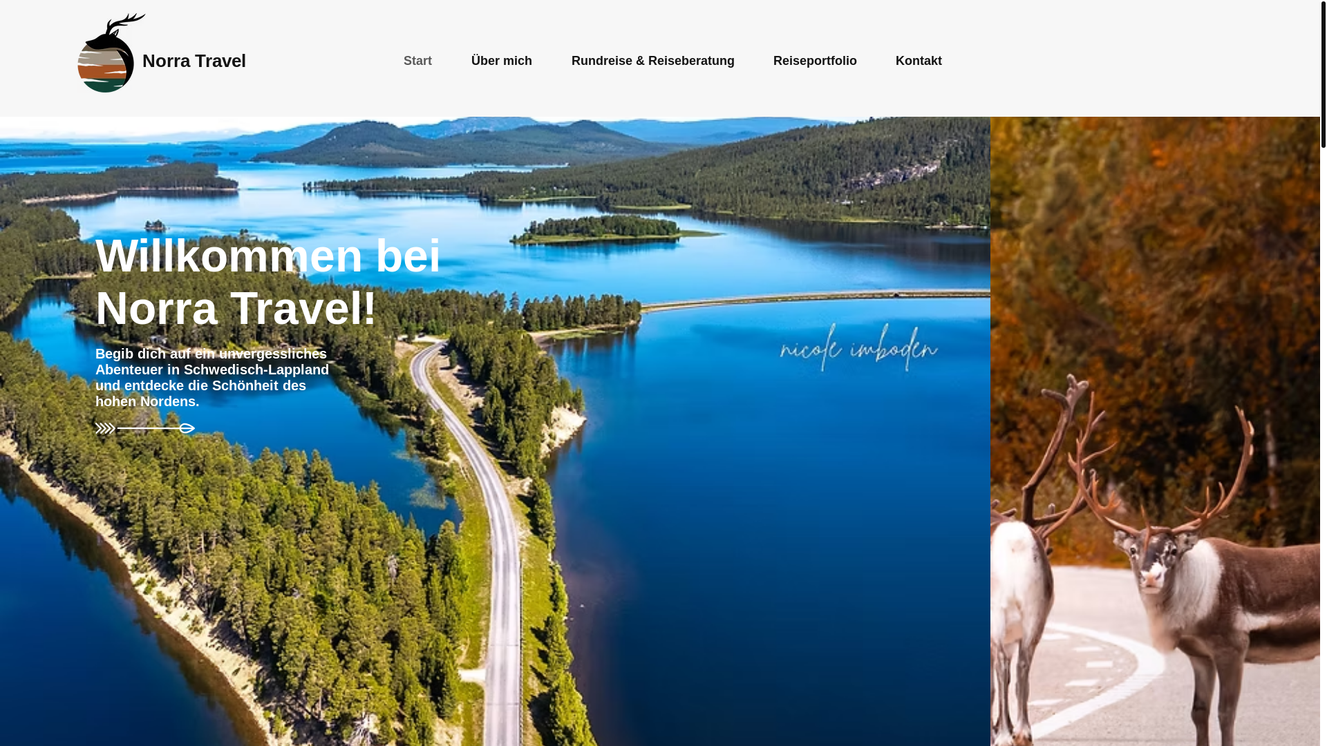 website screenshot of https://norrtravel.se/