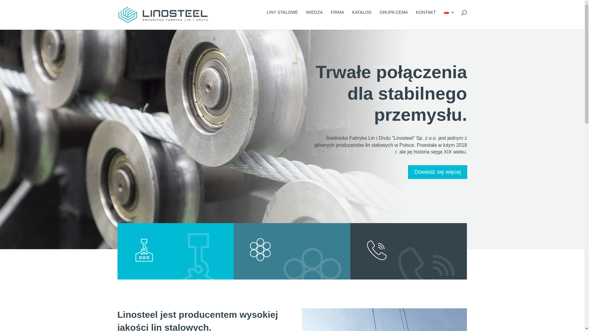 website screenshot of http://www.linosteel.pl/