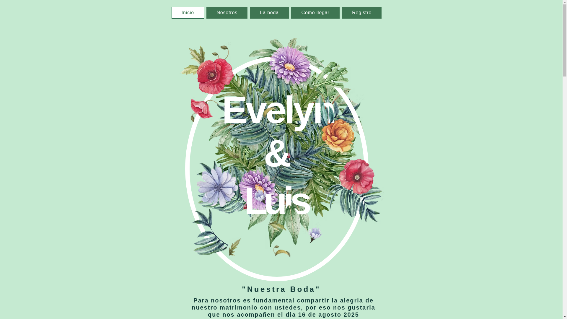 website screenshot of https://evelynyluis.com/