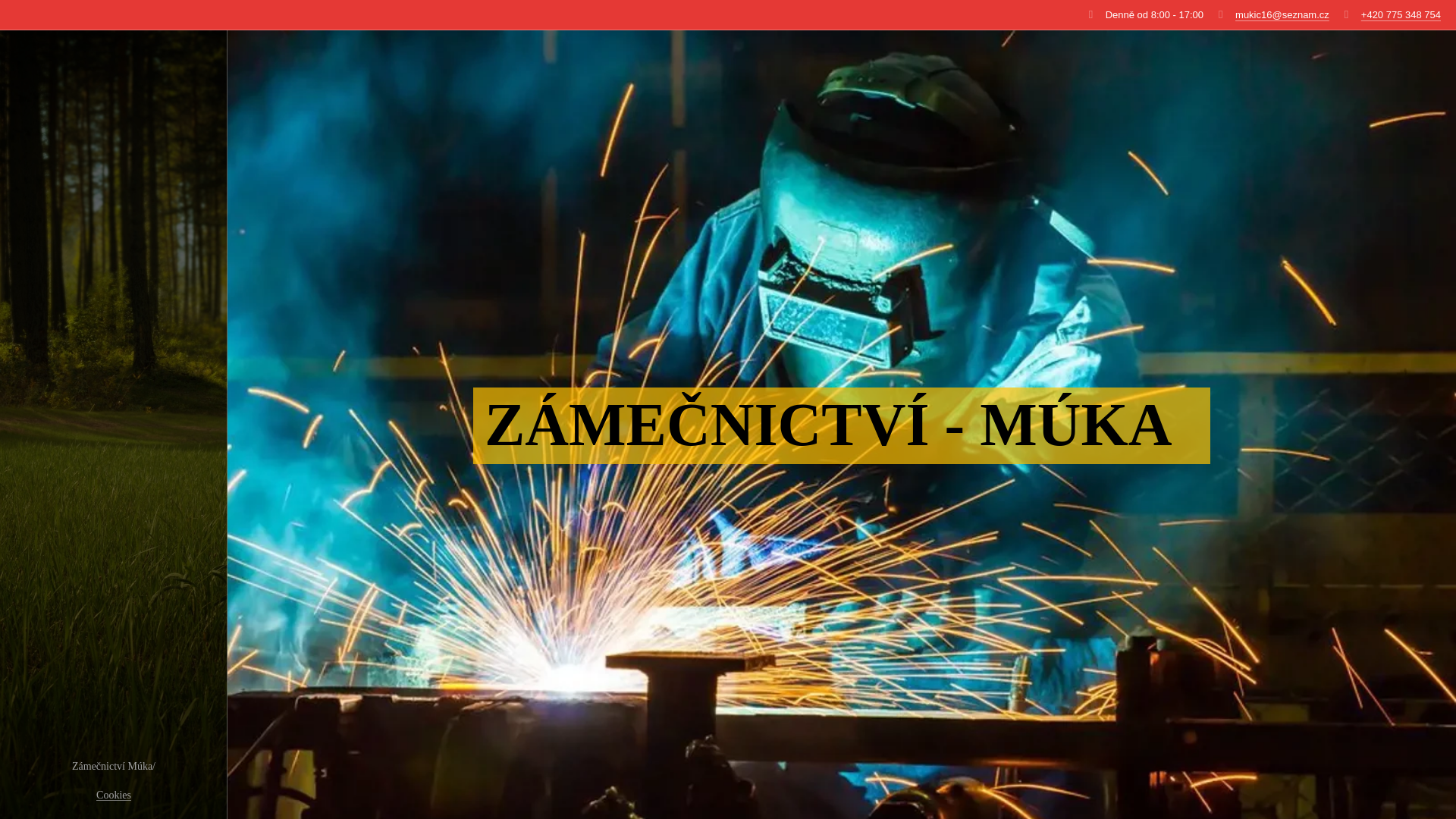 website screenshot of https://zamecnictvimuka.cz/