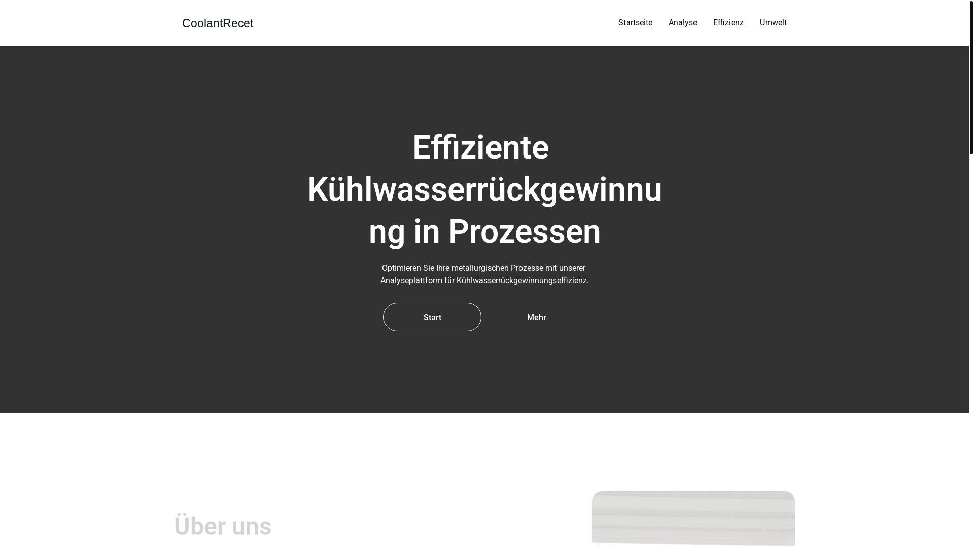 website screenshot of https://coolantrecet.cloud/