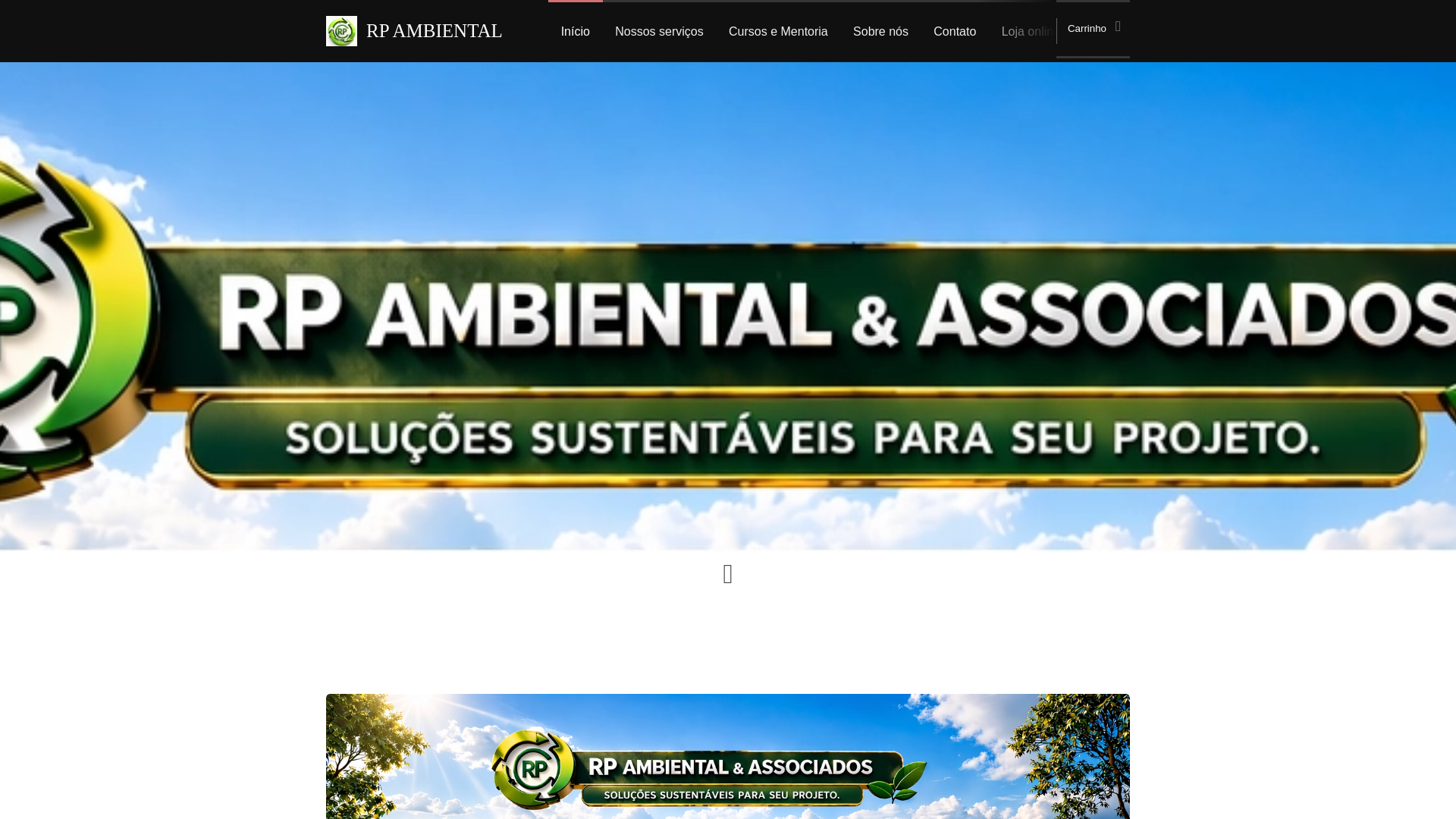 website screenshot of https://rpambientaleassociados.com.br/