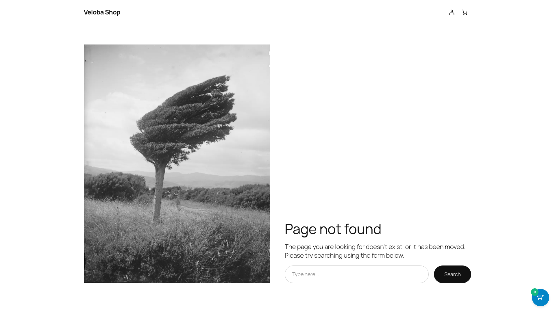 website screenshot of https://velobashop.com/