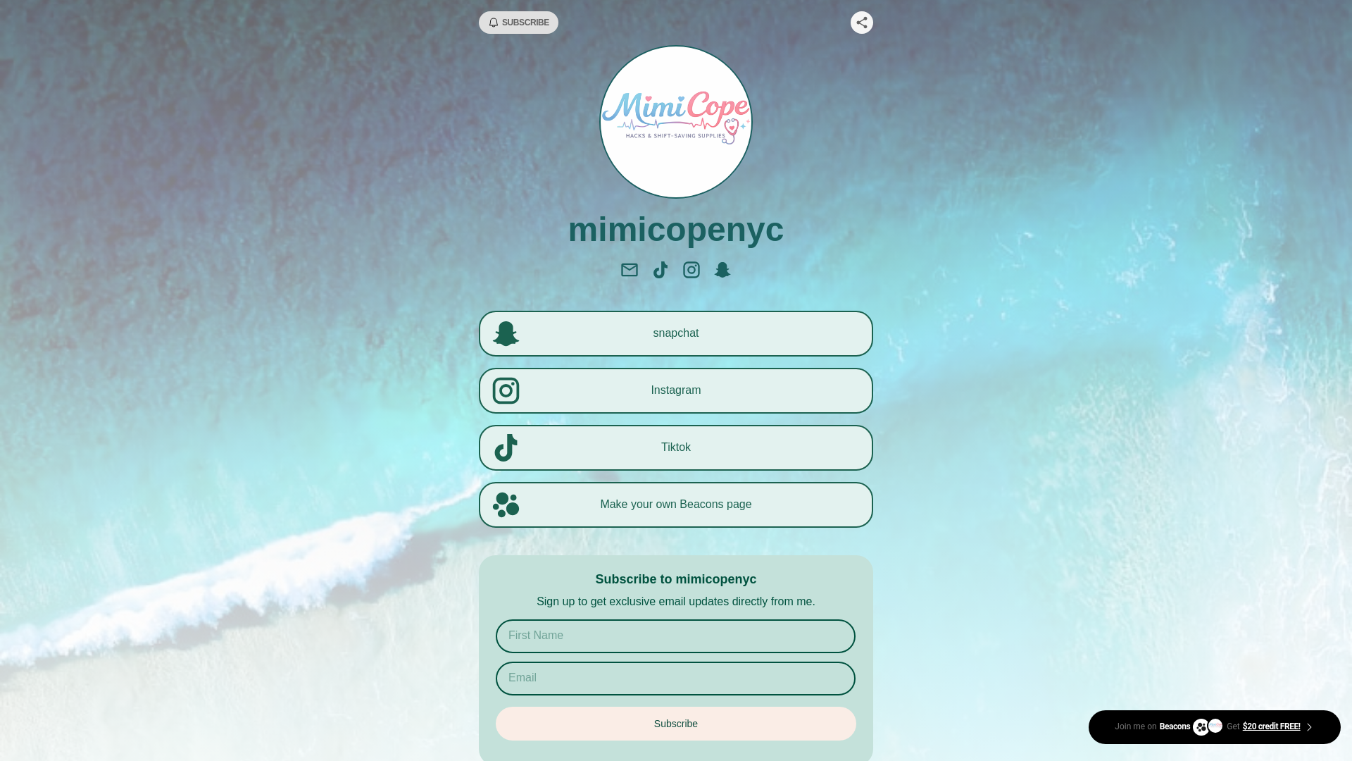 website screenshot of https://mimicopenyc.com/