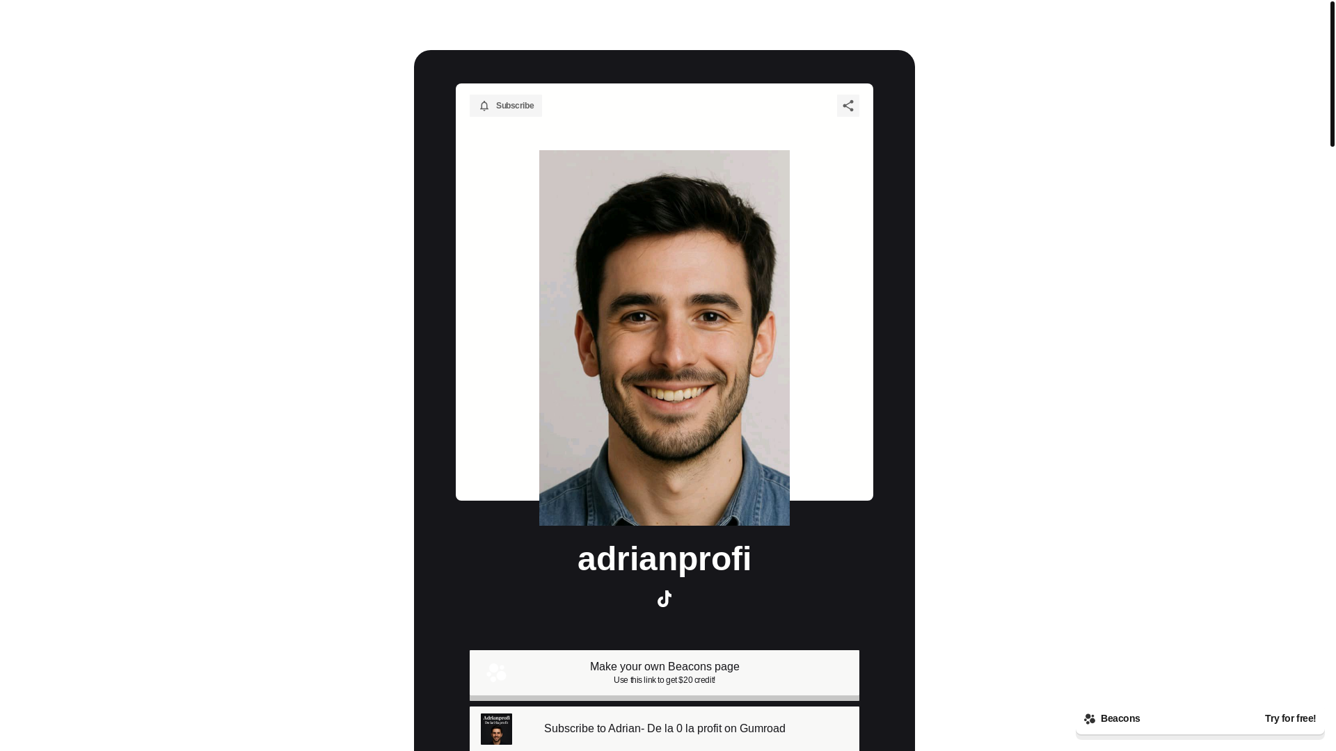 website screenshot of https://adrianprofi.com/
