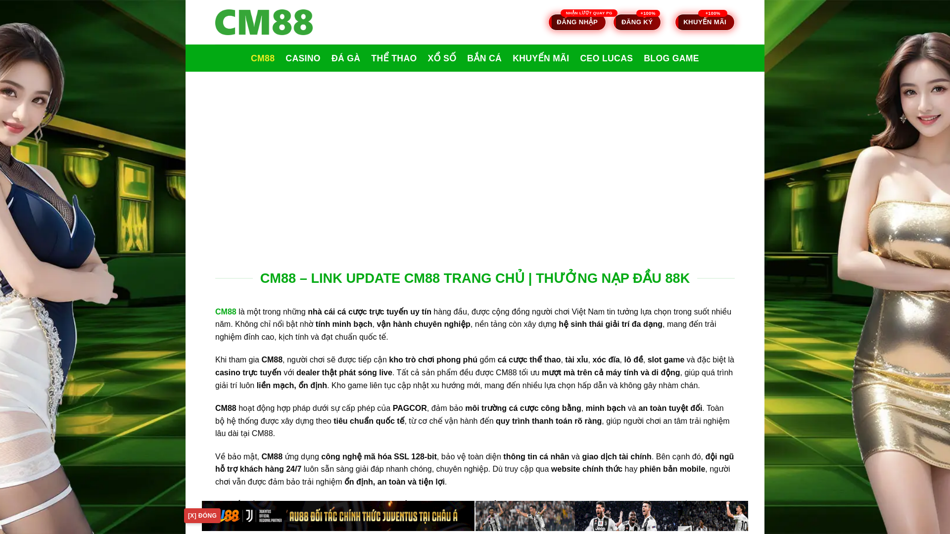 website screenshot of https://israelpalestineconflict.in.net/