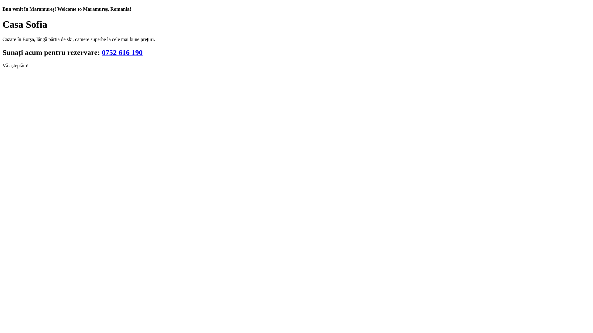 website screenshot of https://hailaborsa.ro/