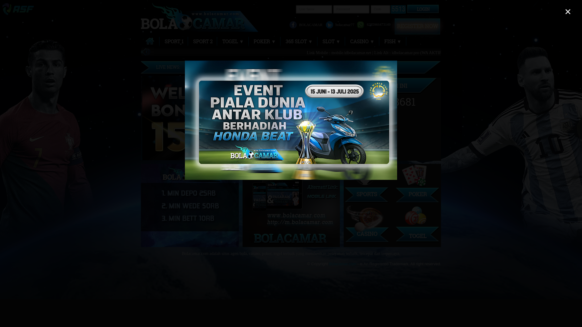 website screenshot of https://adacamar.xyz/