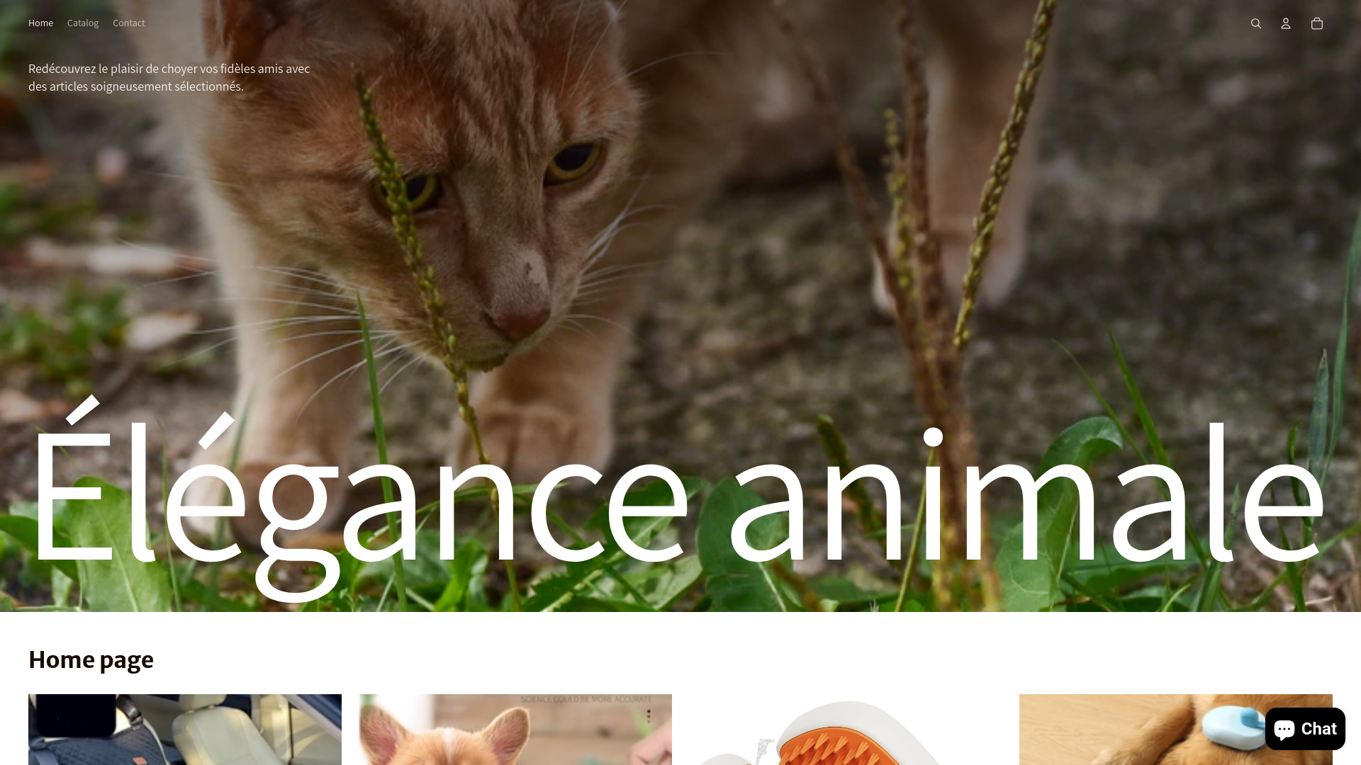 website screenshot of https://masolustore.com