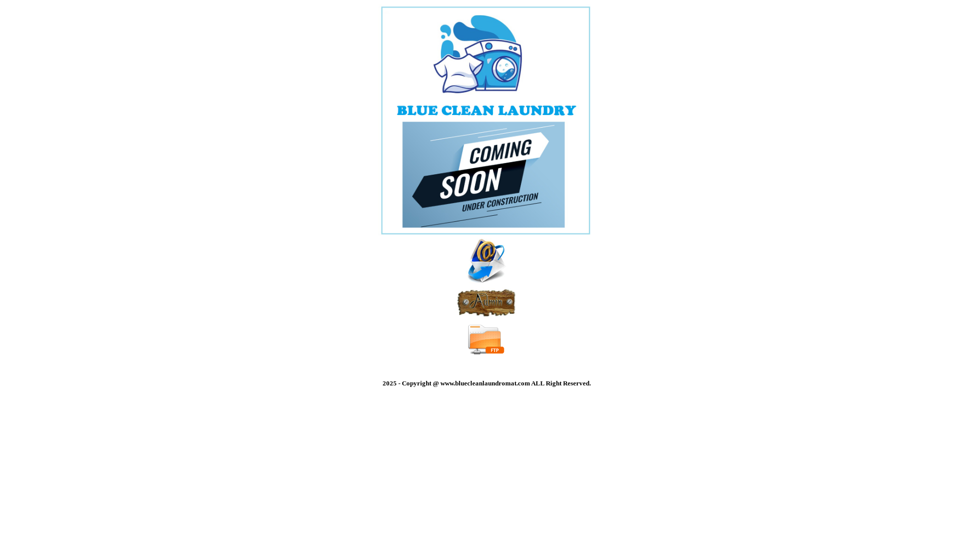 website screenshot of https://bluecleanlaundromat.com/