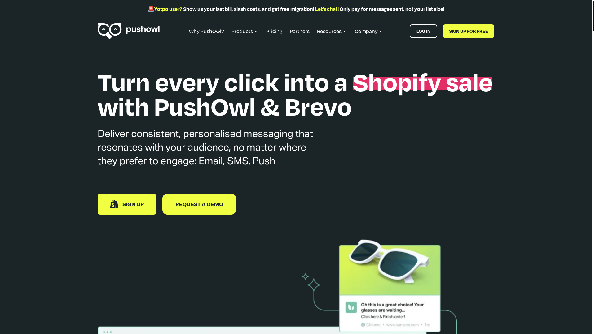website screenshot of https://pushowl.com/