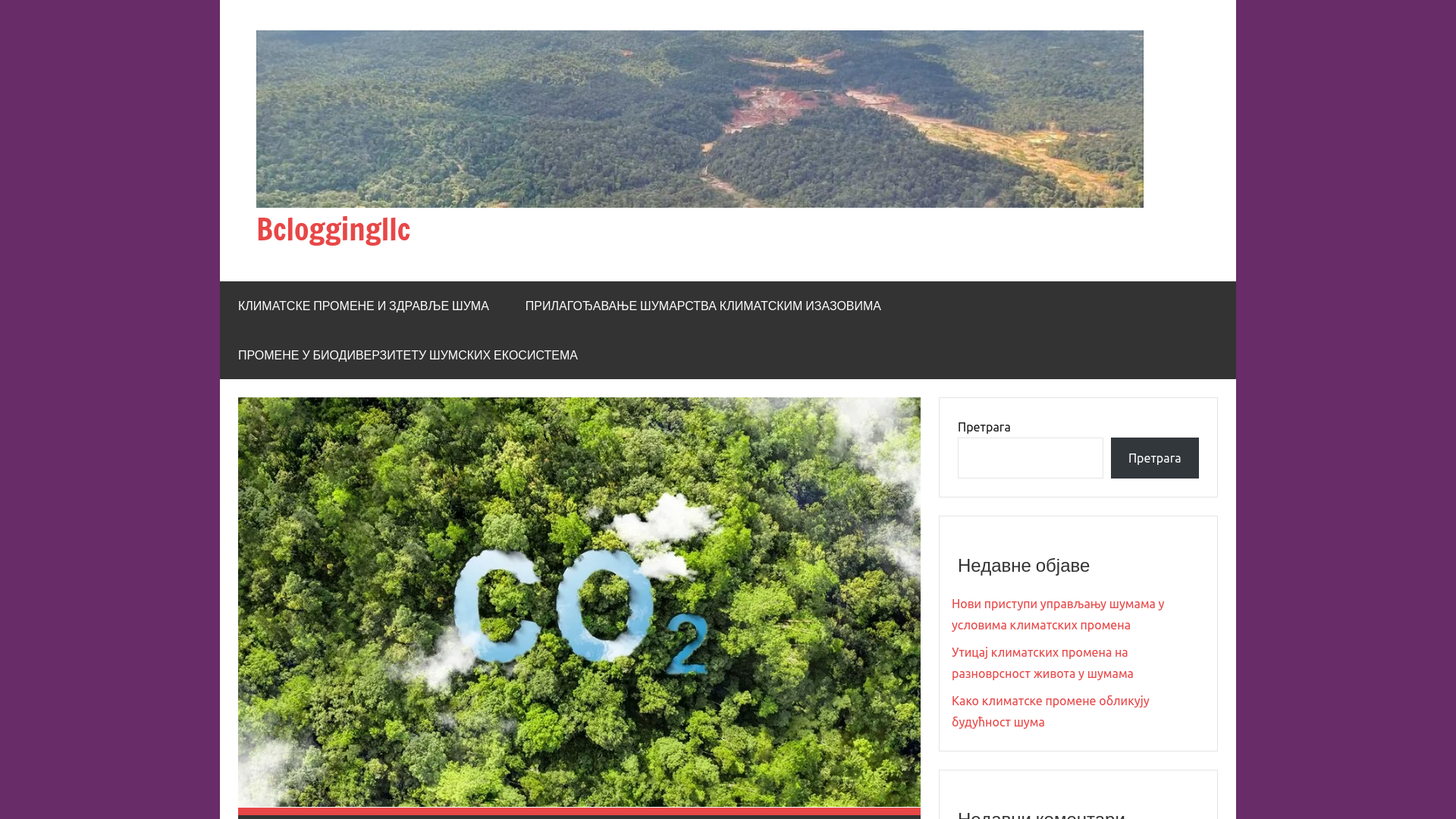 website screenshot of https://bcloggingllc.com/