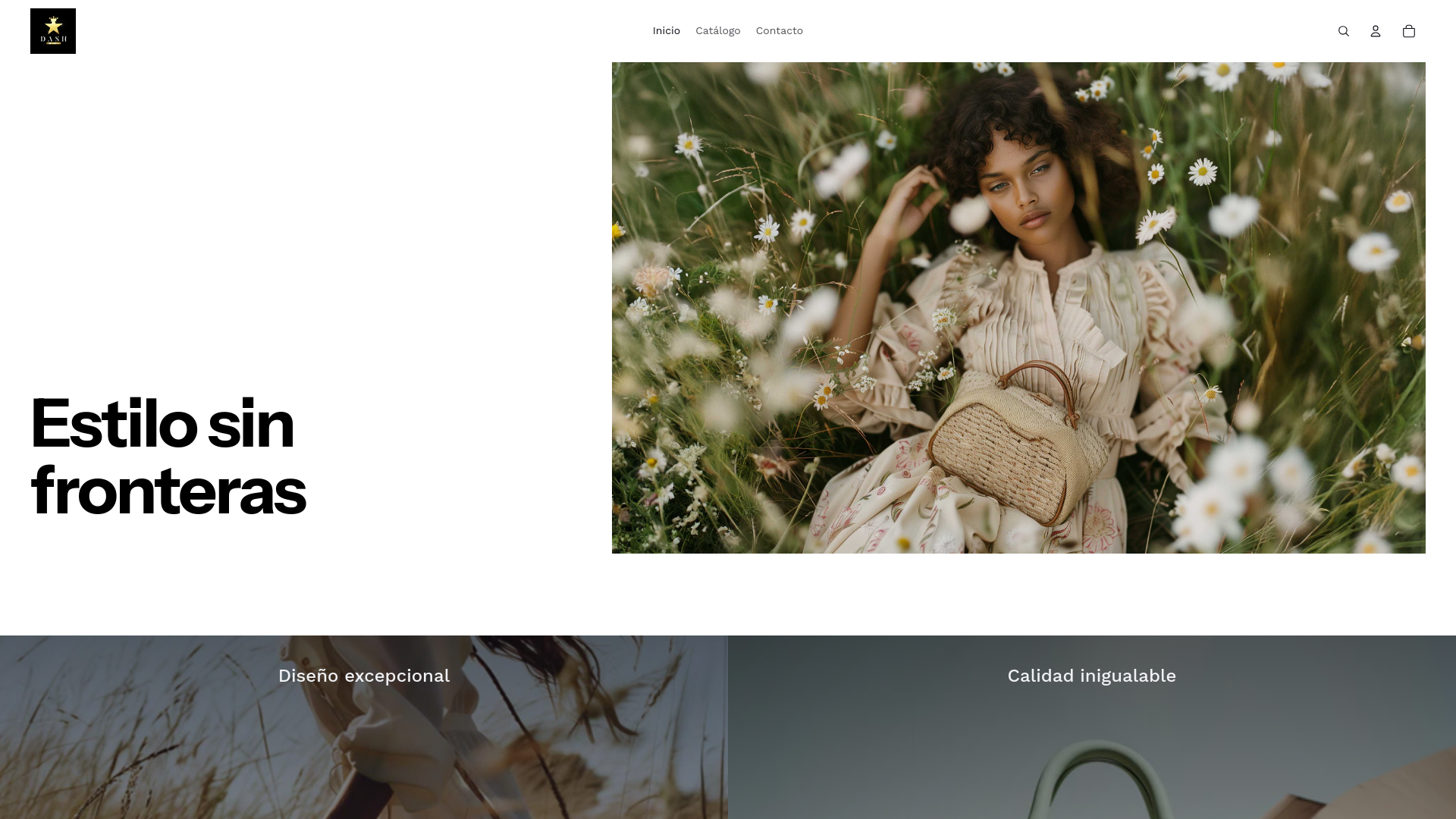 website screenshot of https://dashboutiquemt.com/