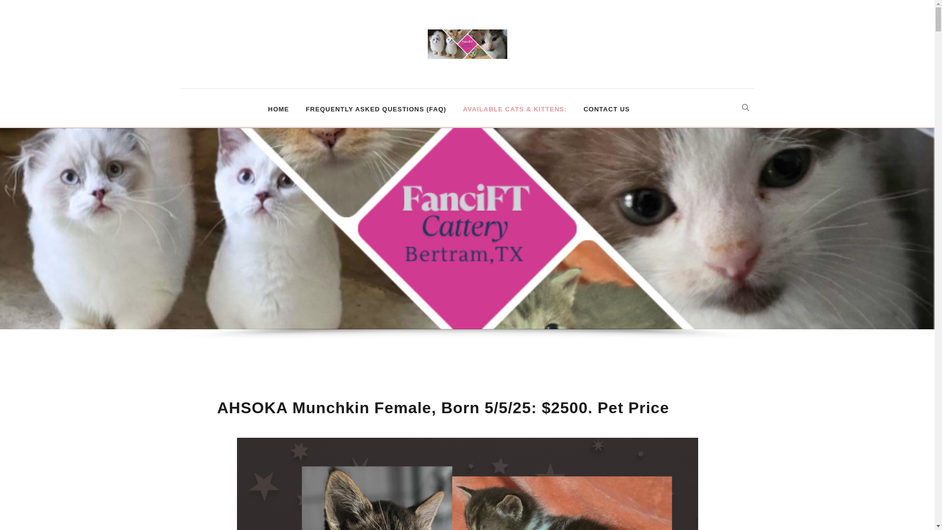 website screenshot of https://munchkinkittens.net/