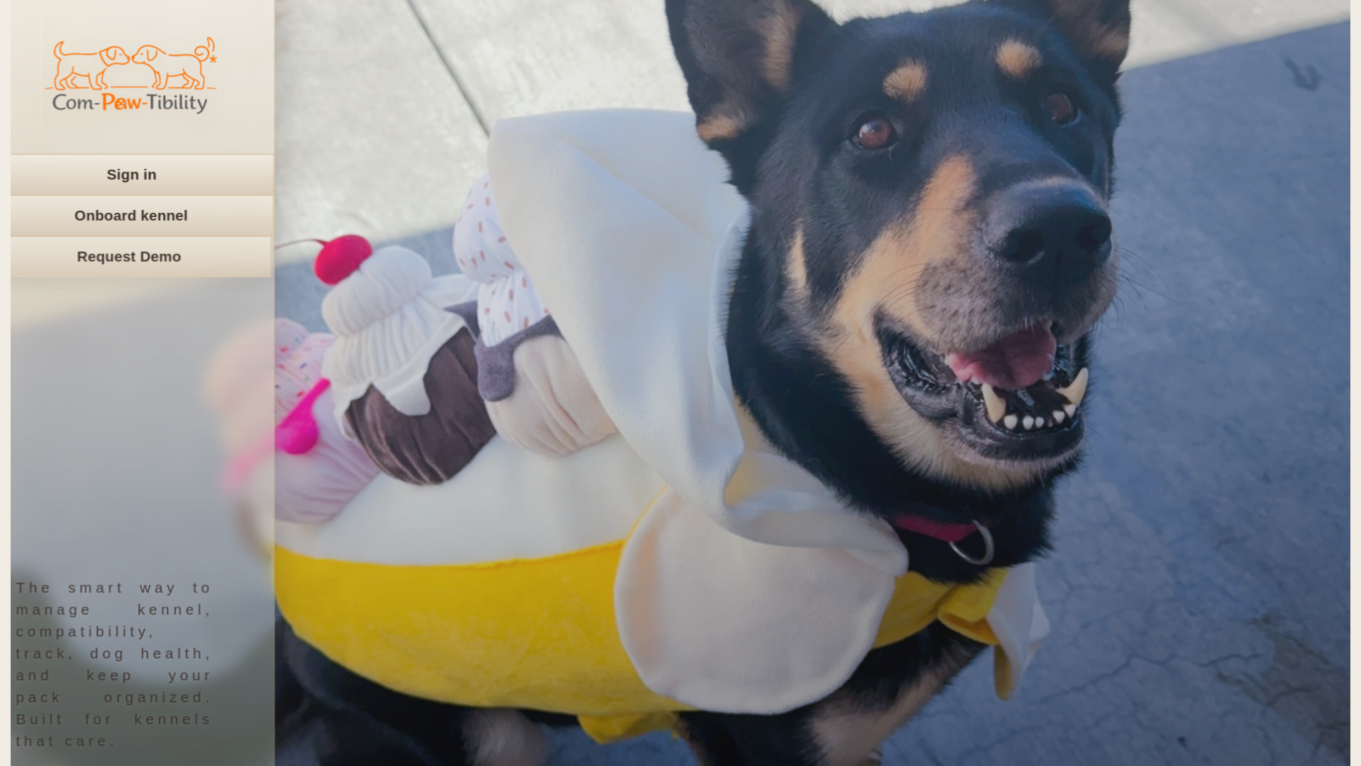 website screenshot of https://compawtibility.com/