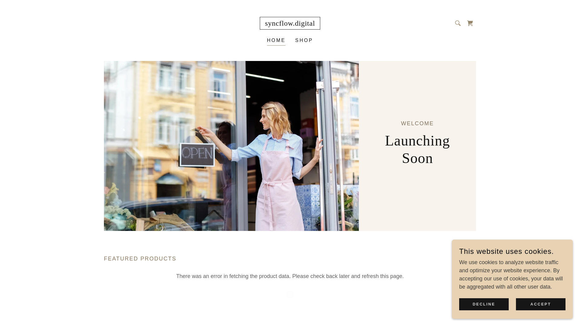 website screenshot of https://syncflow.digital/