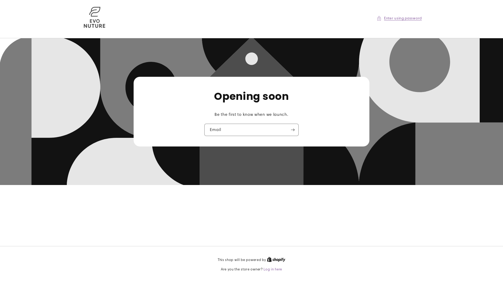 website screenshot of https://evonuture.com/