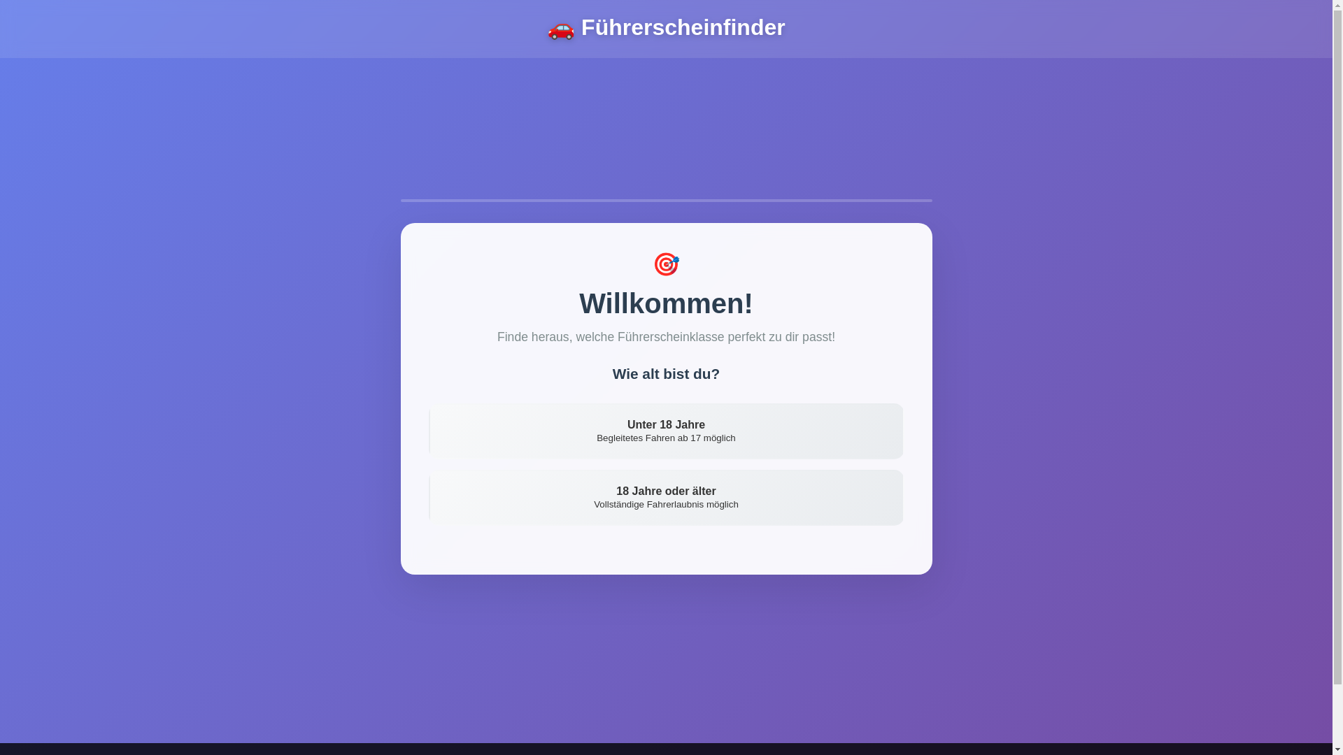 website screenshot of https://fuehrerscheinfinder.de/