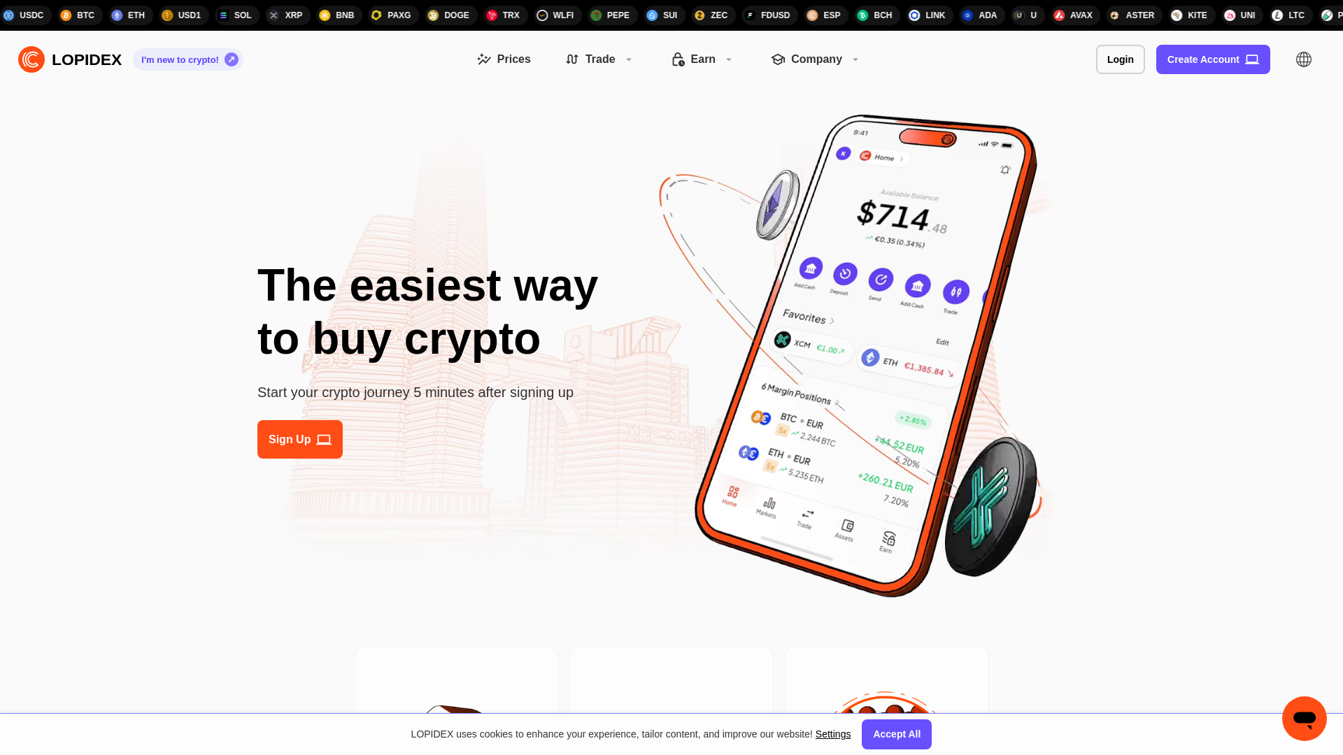 website screenshot of https://lopidex.com/
