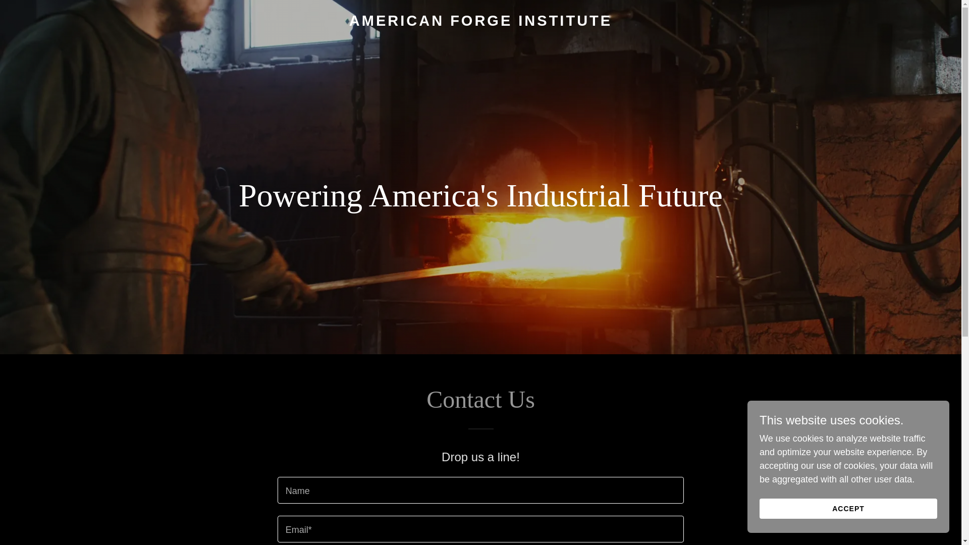website screenshot of https://americanforge.institute/