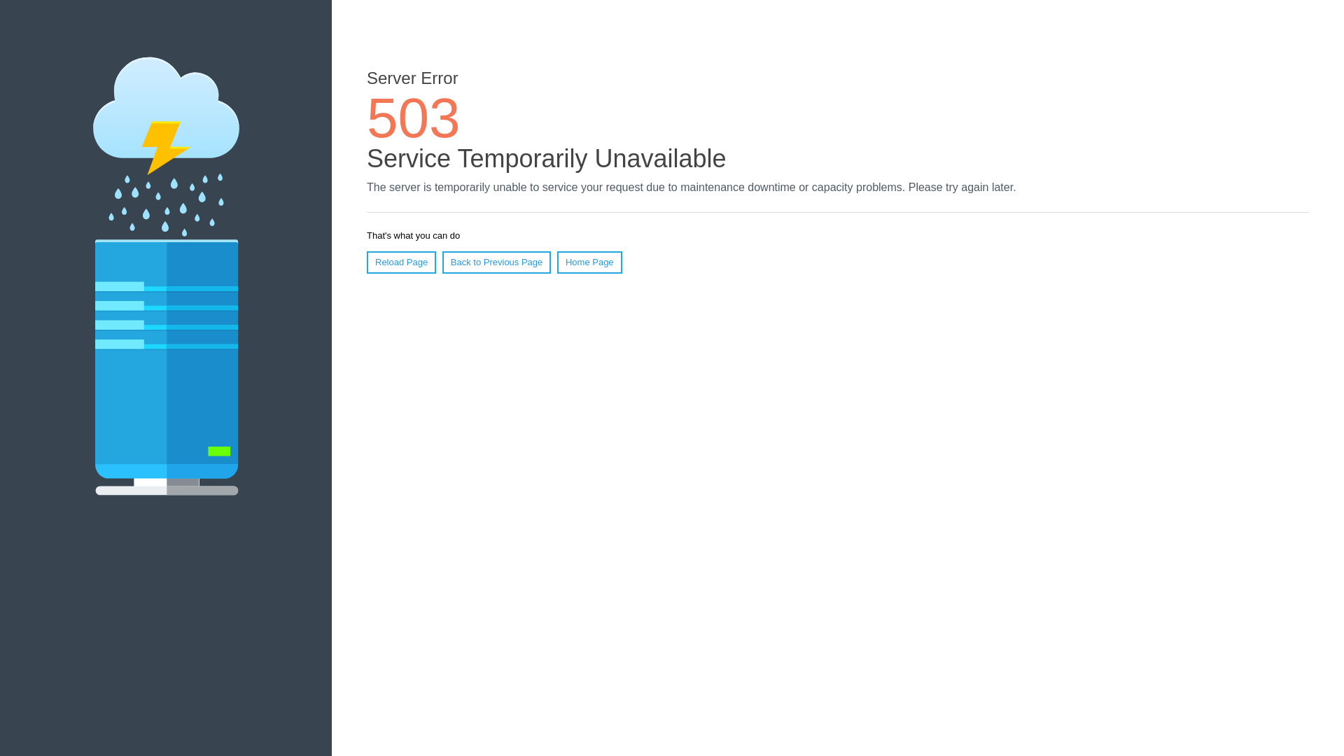 website screenshot of https://puerstorage.com