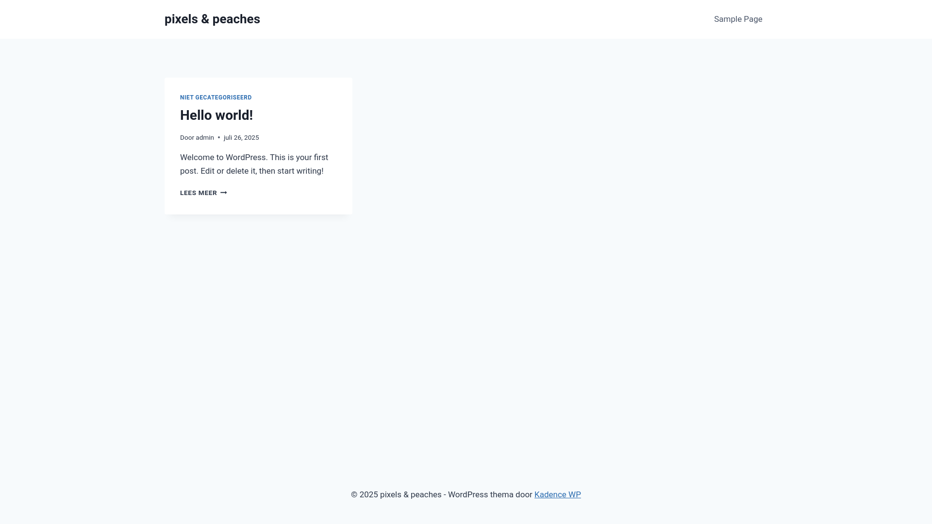 website screenshot of https://pixelsandpeaches.nl/