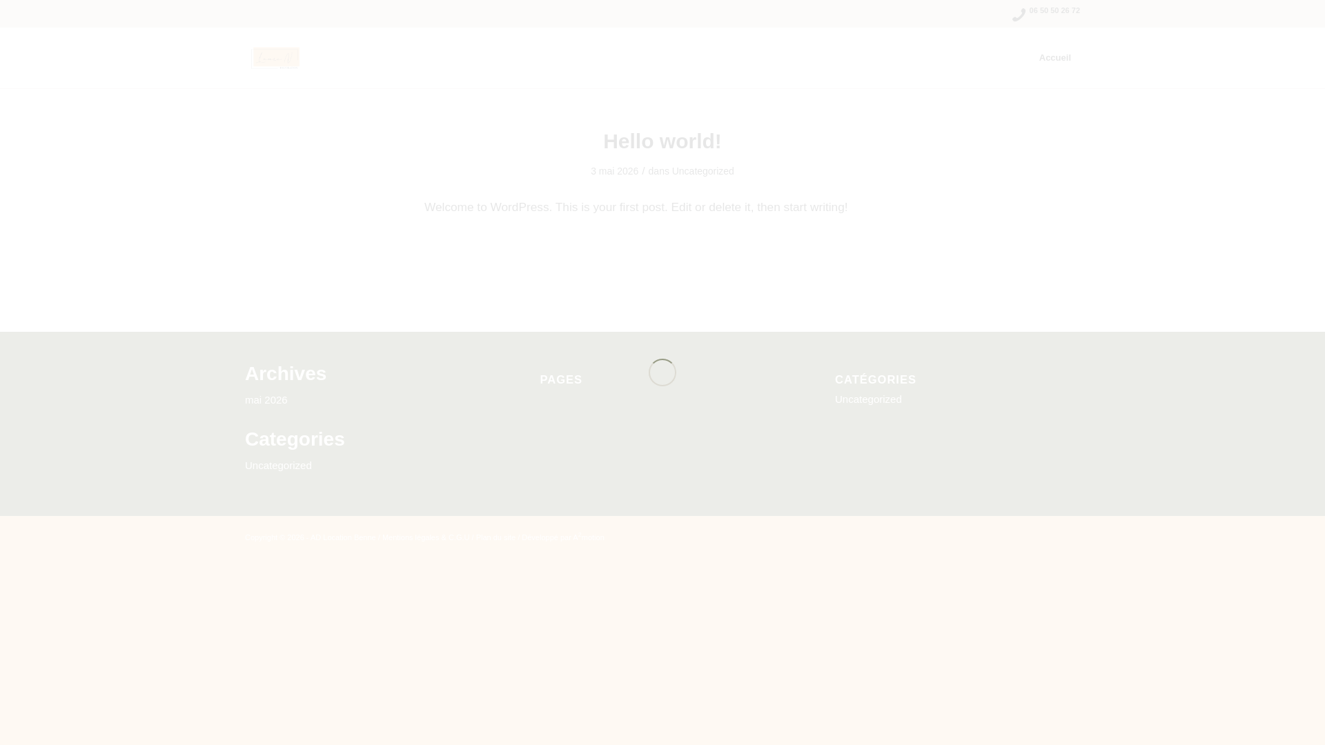 website screenshot of https://lauren-decoration.com/