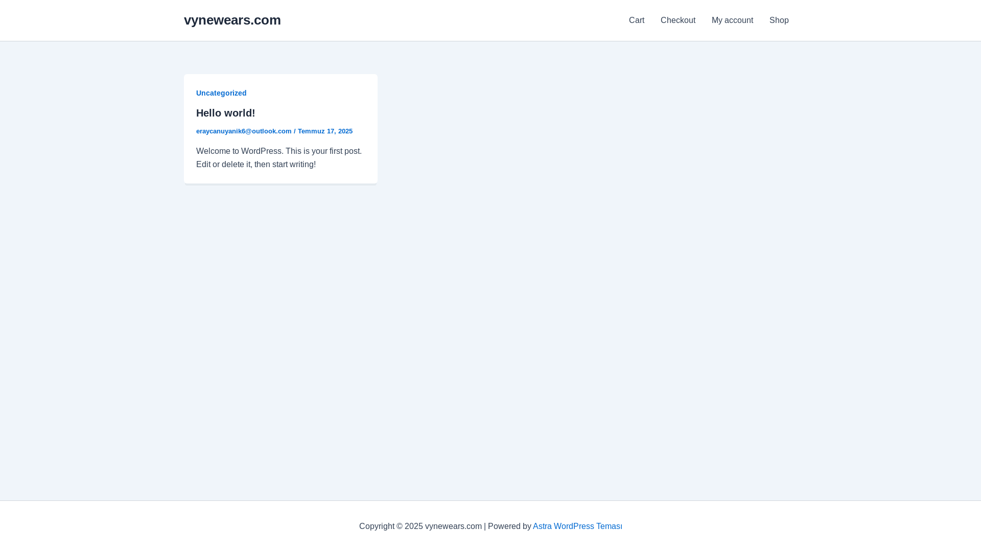 website screenshot of https://vynewears.com/