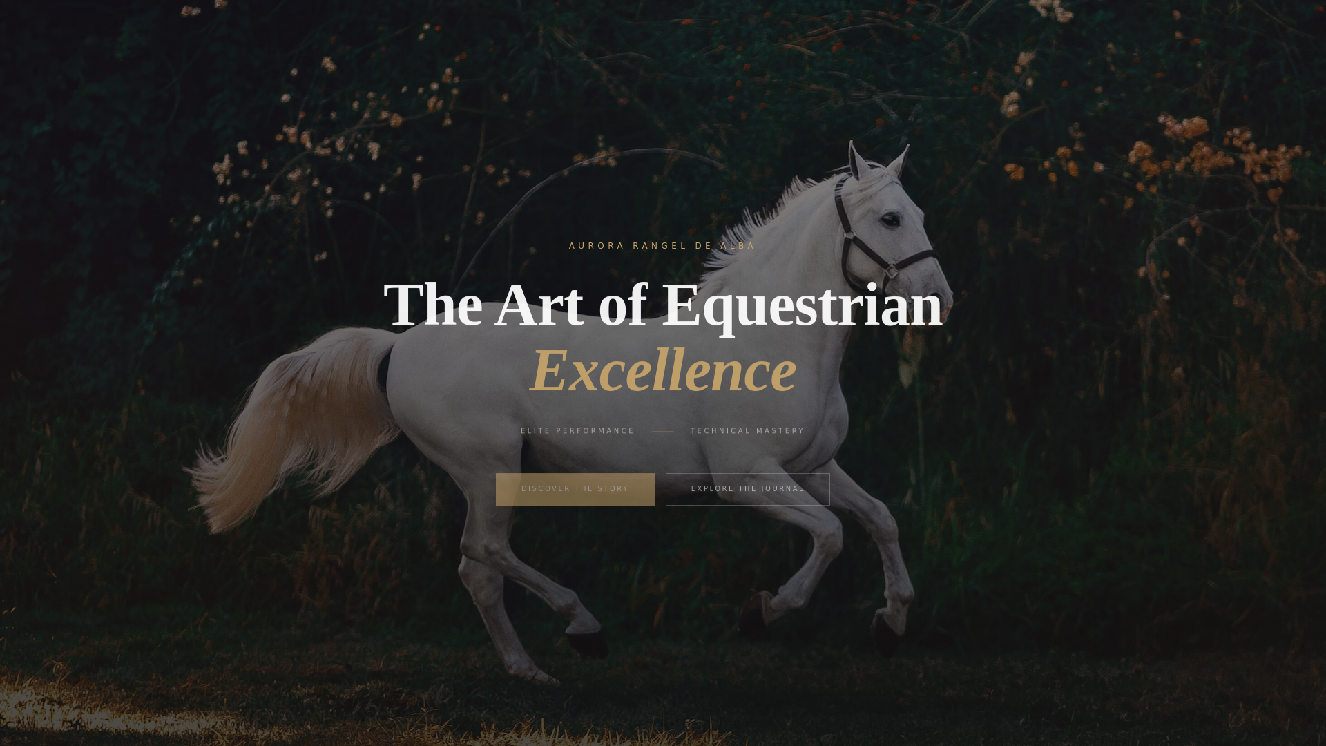 website screenshot of https://aurorarangel.com/