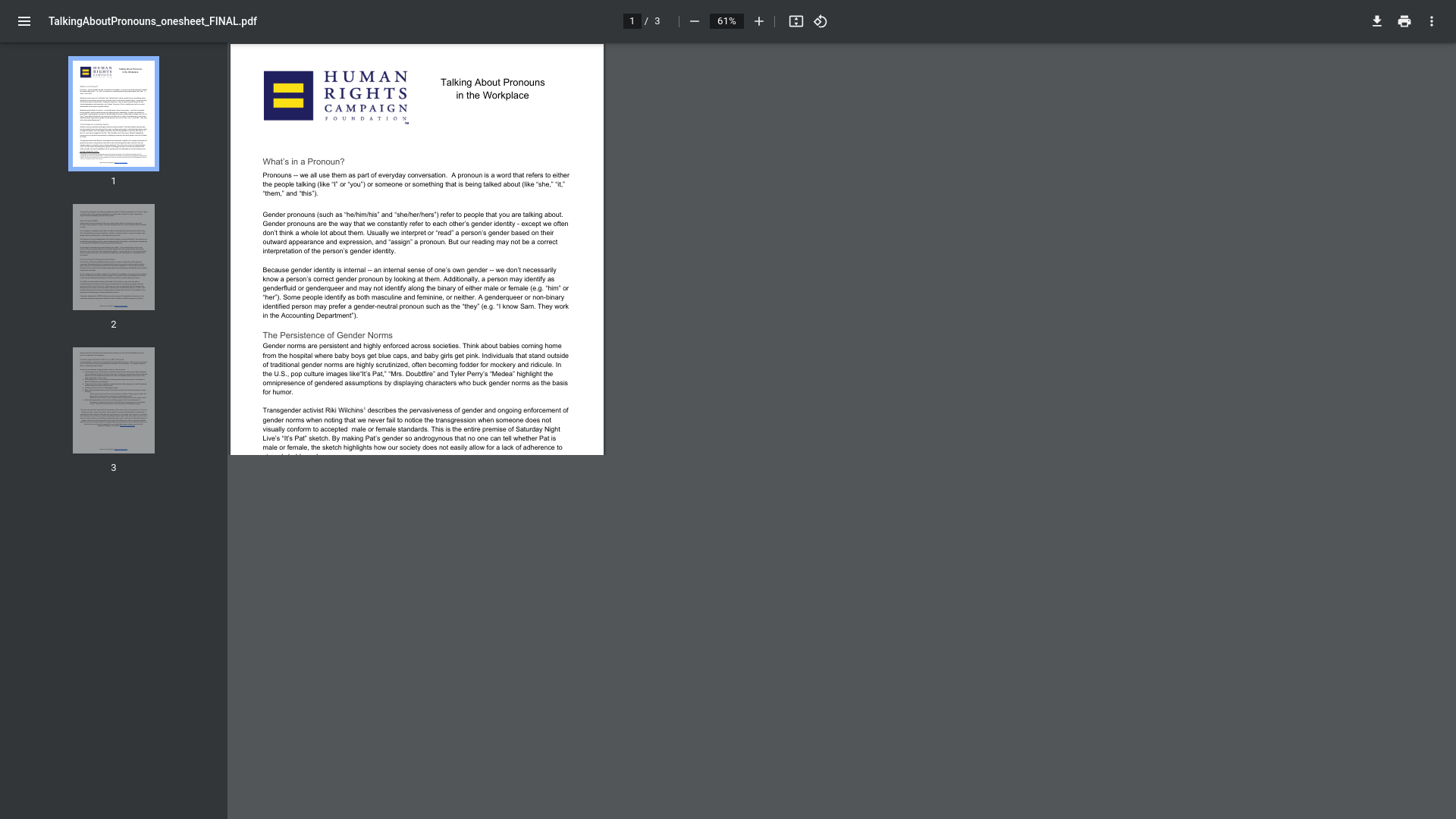 website screenshot of https://assets2.hrc.org/files/assets/resources/TalkingAboutPronouns_onesheet_FINAL.pdf