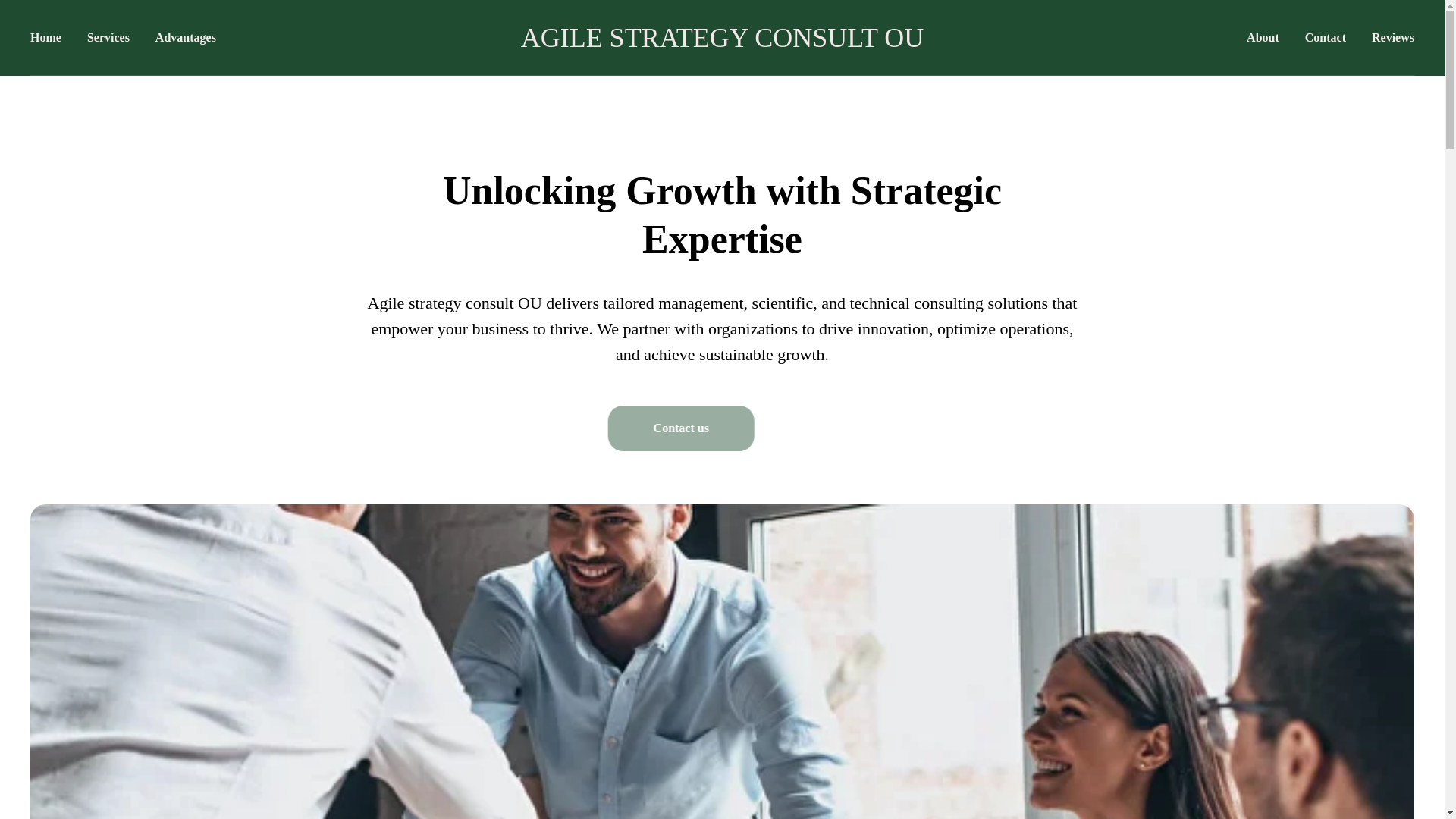 website screenshot of https://agilestrategyconsultou.com/