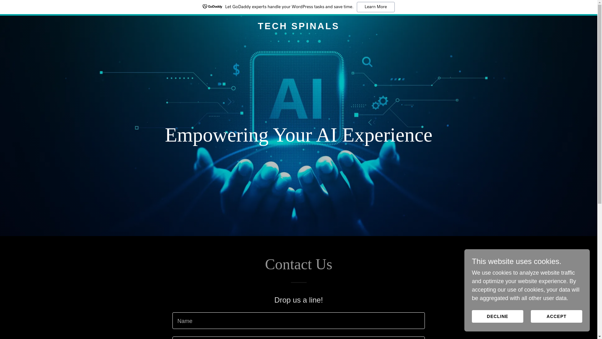 website screenshot of https://techspinals.net/