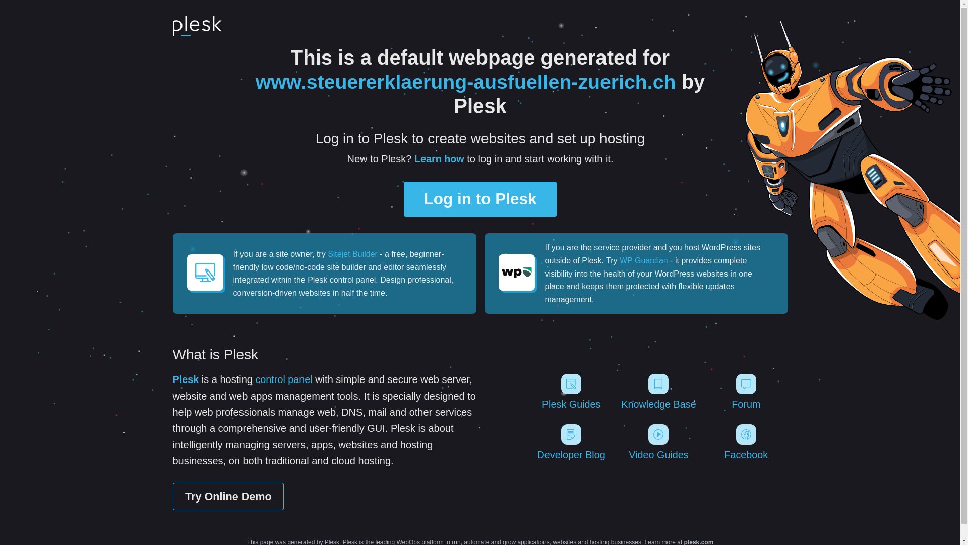website screenshot of https://steuererklaerung-ausfuellen-zuerich.ch/