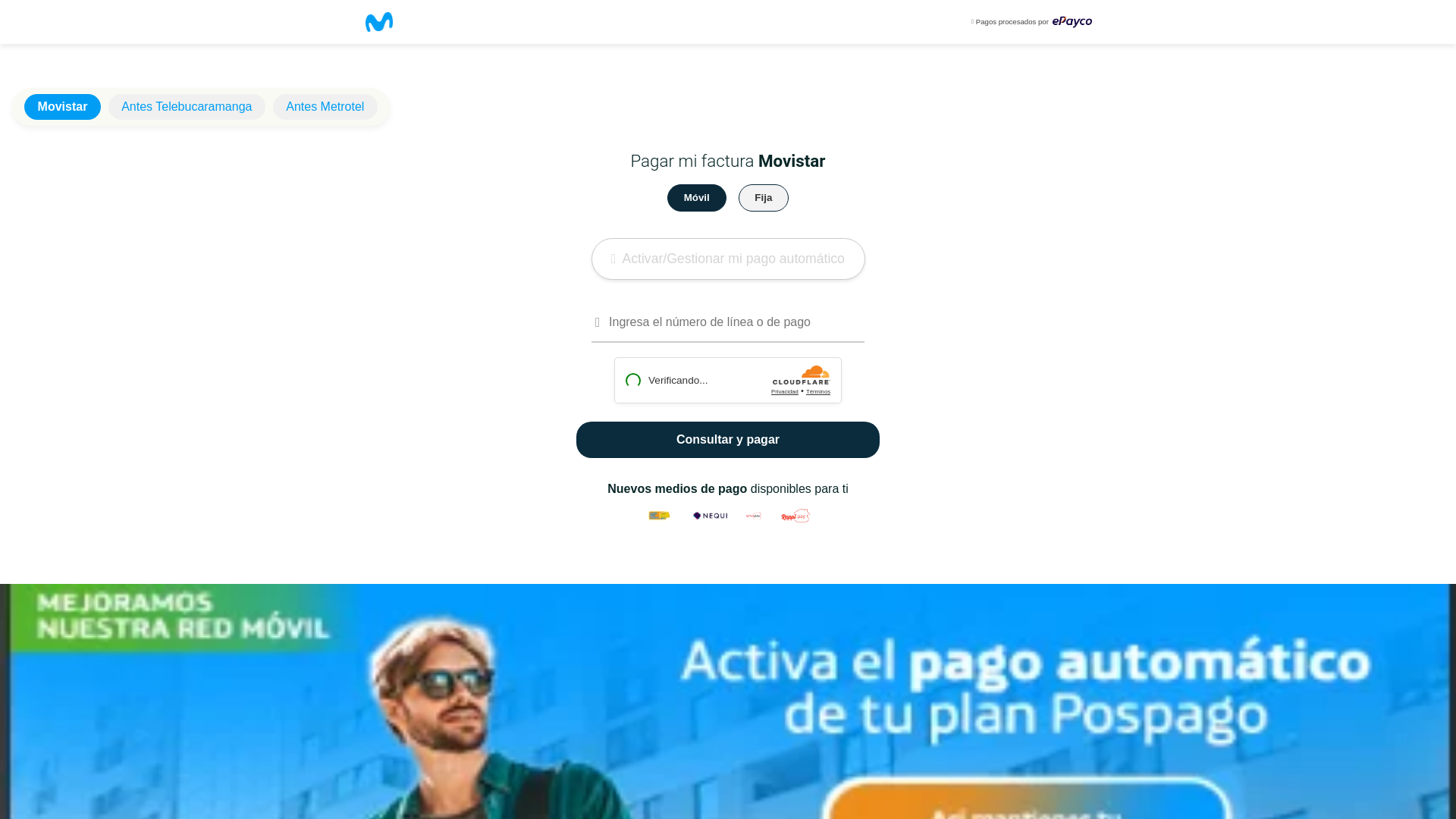 website screenshot of https://ltdportal-se.de/