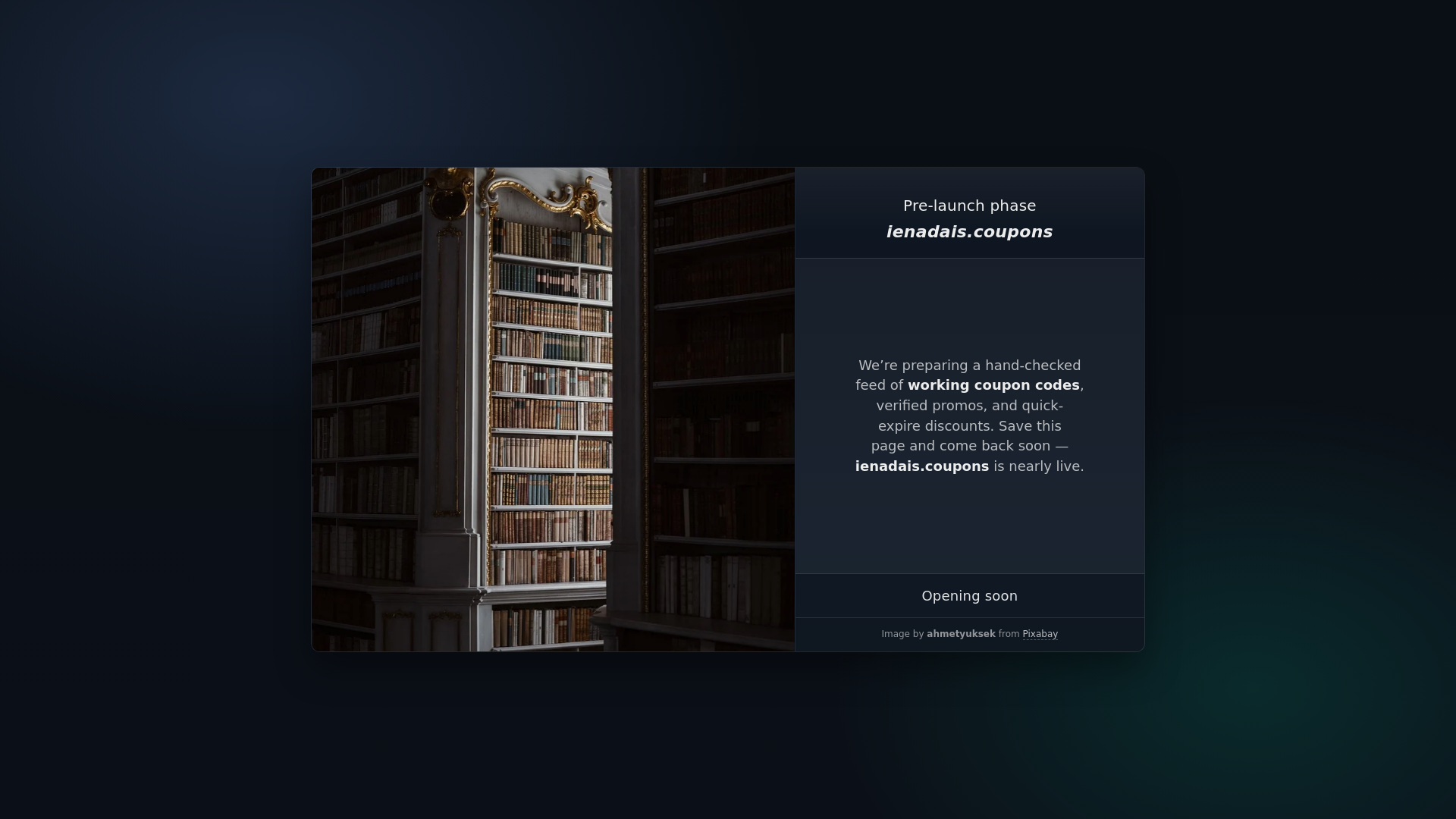 website screenshot of https://ienadais.coupons/