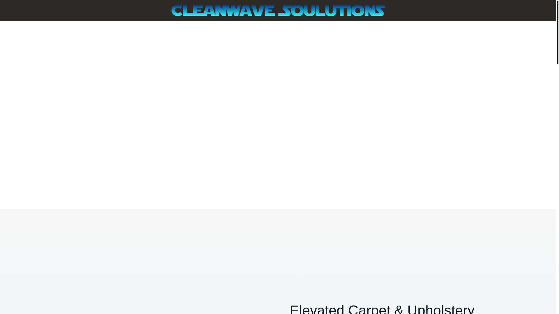 website screenshot of https://carpetcleanwave.com/