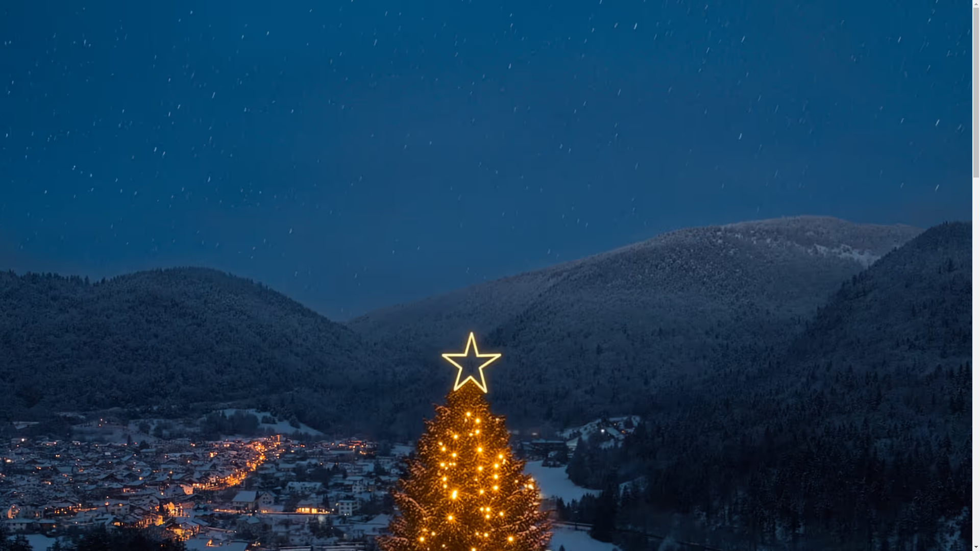 website screenshot of https://basvallon.com/